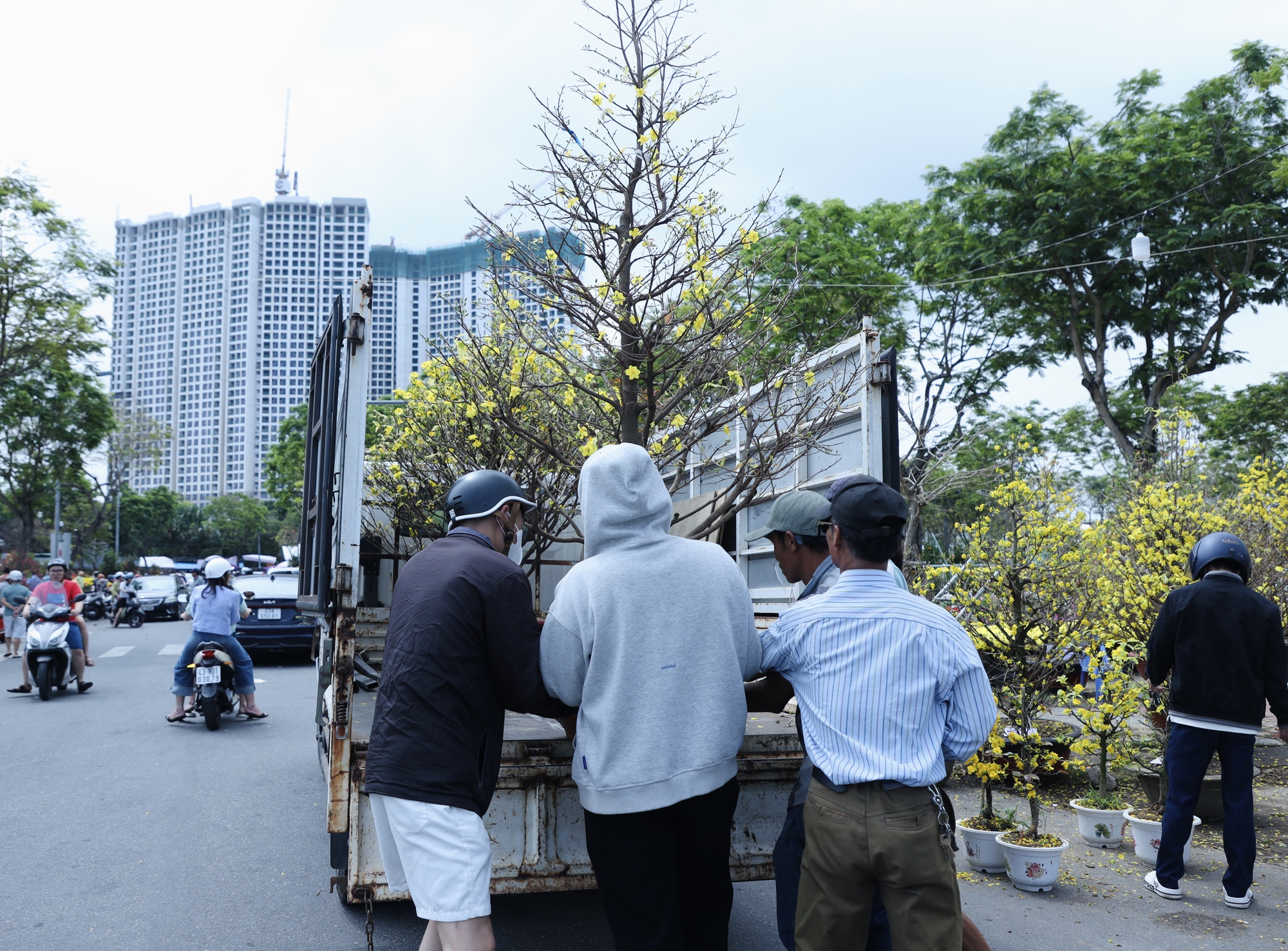 Chiều 29 Tết: Chợ hoa Đ&agrave; Nẵng trầm lắng, tiểu thương 'xả h&agrave;ng' vẫn ế ẩm- Ảnh 13.