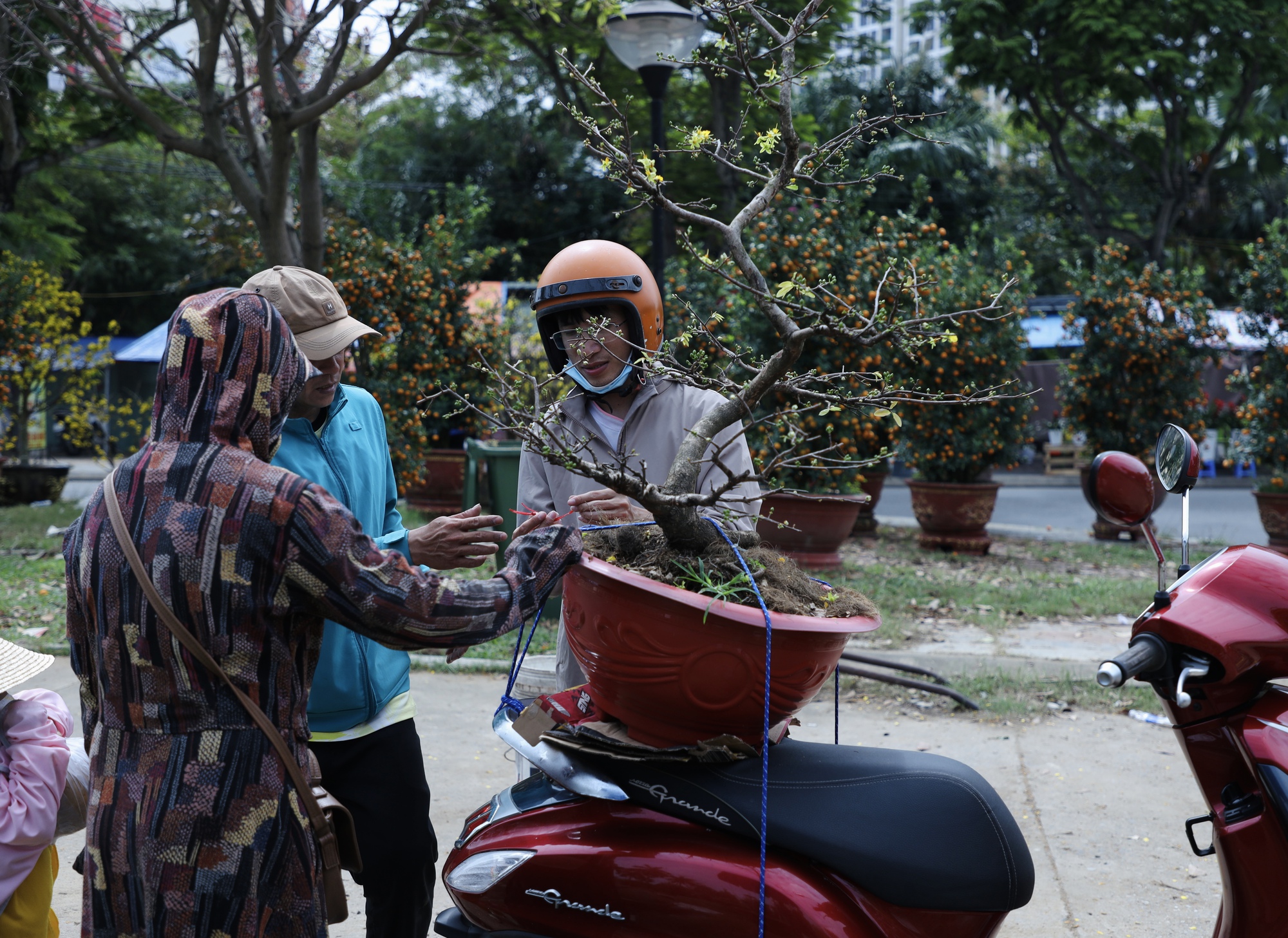 Chiều 29 Tết: Chợ hoa Đ&agrave; Nẵng trầm lắng, tiểu thương 'xả h&agrave;ng' vẫn ế ẩm- Ảnh 7.