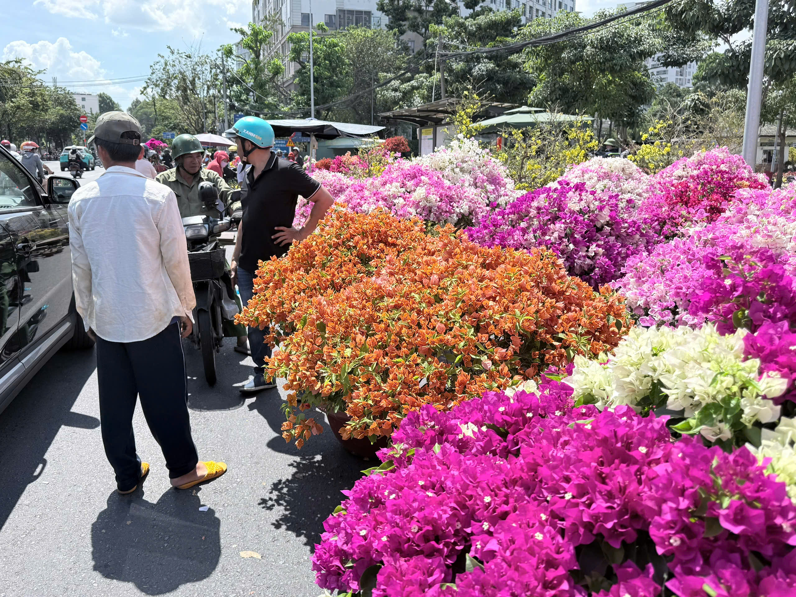 Chiều muộn 29 tết, chợ hoa Gia Định xả lỗ: Nhiều khách vẫn chê giá cao- Ảnh 4. Chiều muộn 29 tết, chợ hoa Gia Định xả lỗ: Nhiều khách vẫn chê giá cao- Ảnh 4.