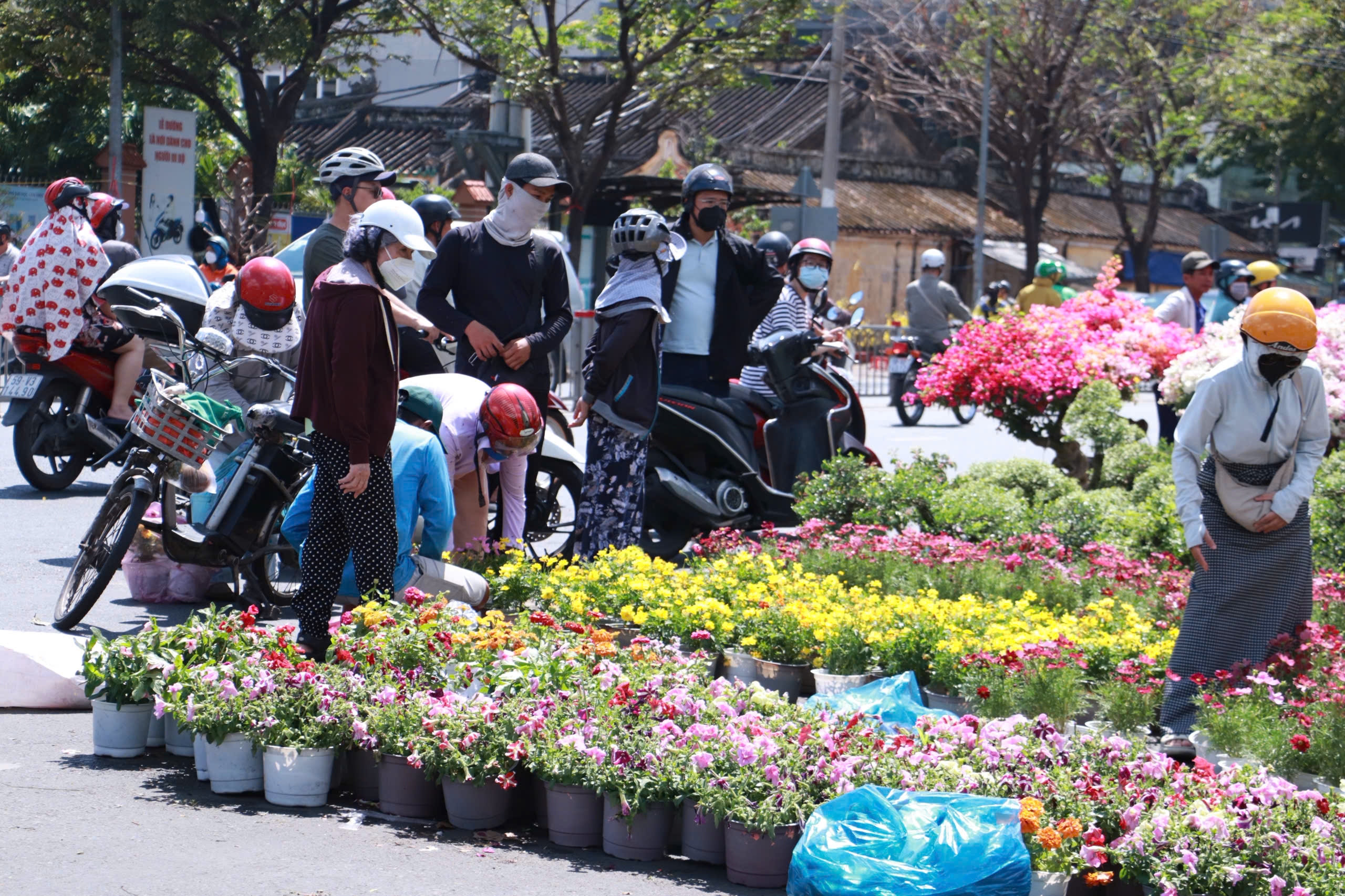 Chiều muộn 29 tết, chợ hoa Gia Định xả lỗ: Nhiều khách vẫn chê giá cao- Ảnh 6. Chiều muộn 29 tết, chợ hoa Gia Định xả lỗ: Nhiều khách vẫn chê giá cao- Ảnh 6.