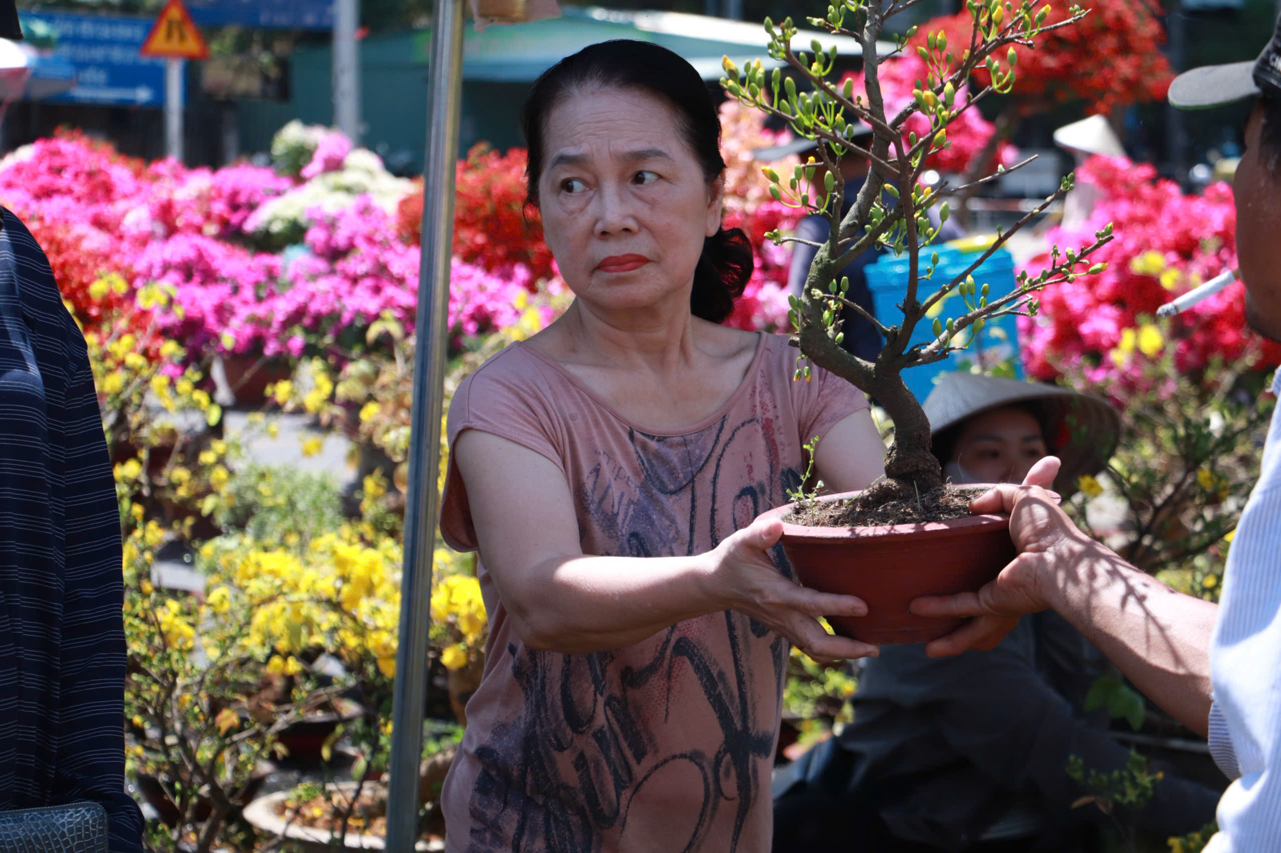Chiều muộn 29 tết, chợ hoa Gia Định xả lỗ: Nhiều khách vẫn chê giá cao- Ảnh 7. Chiều muộn 29 tết, chợ hoa Gia Định xả lỗ: Nhiều khách vẫn chê giá cao- Ảnh 7.