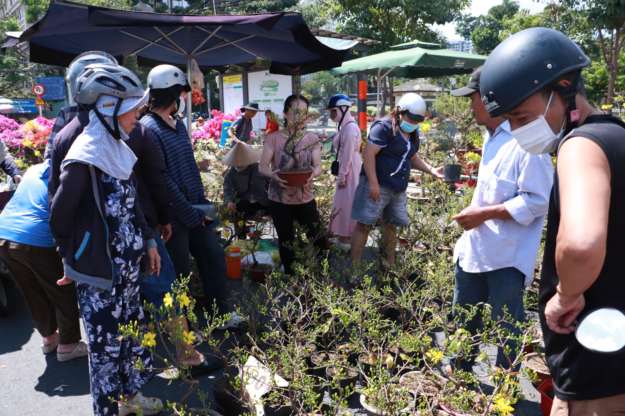 Chiều muộn 29 tết, chợ hoa Gia Định xả lỗ: Nhiều khách vẫn chê giá cao- Ảnh 9. Chiều muộn 29 tết, chợ hoa Gia Định xả lỗ: Nhiều khách vẫn chê giá cao- Ảnh 9.