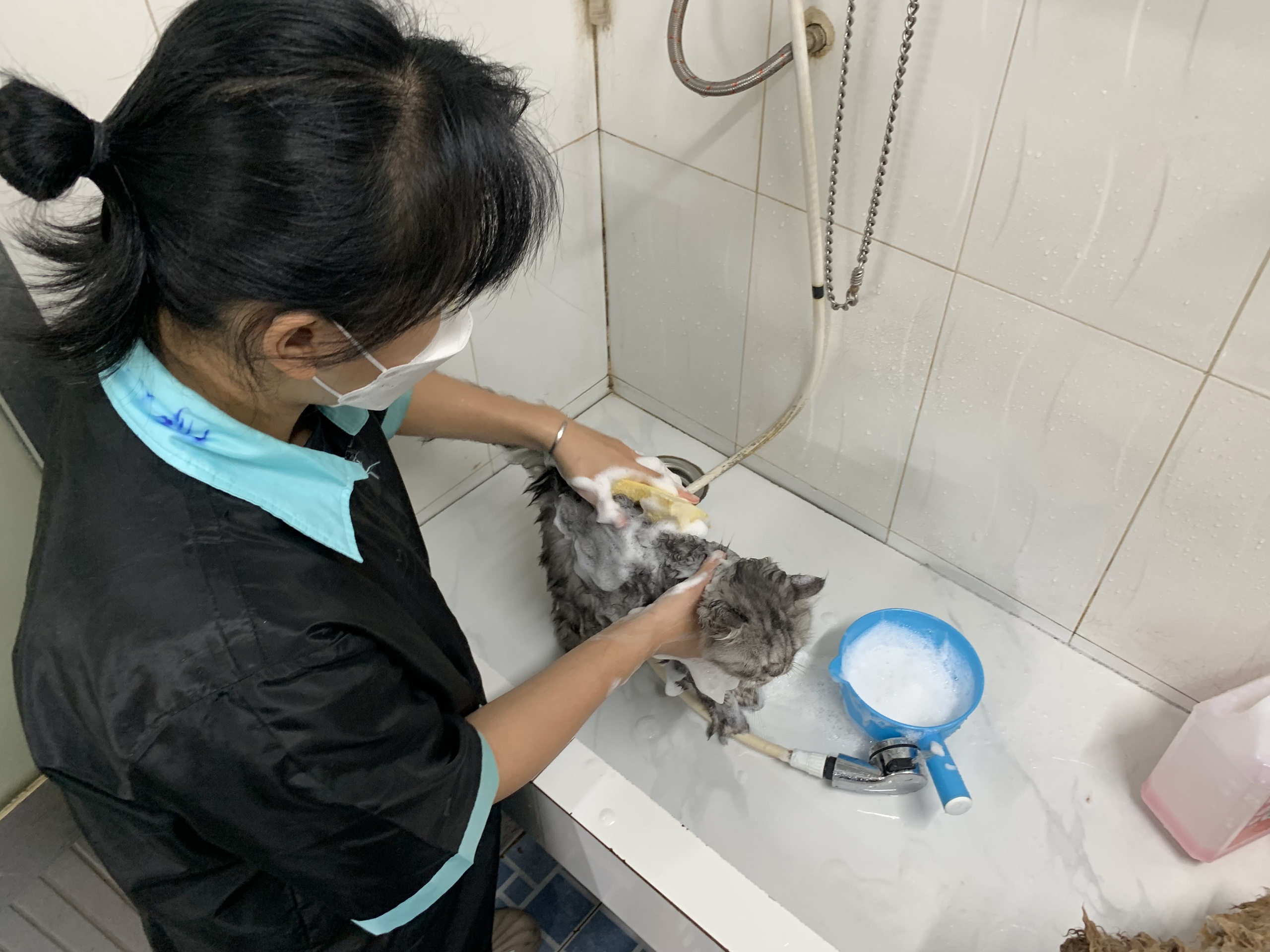 Dịch vụ chăm th&uacute; cưng 'từ A đến Z' thu h&uacute;t kh&aacute;ch dịp tết- Ảnh 4.