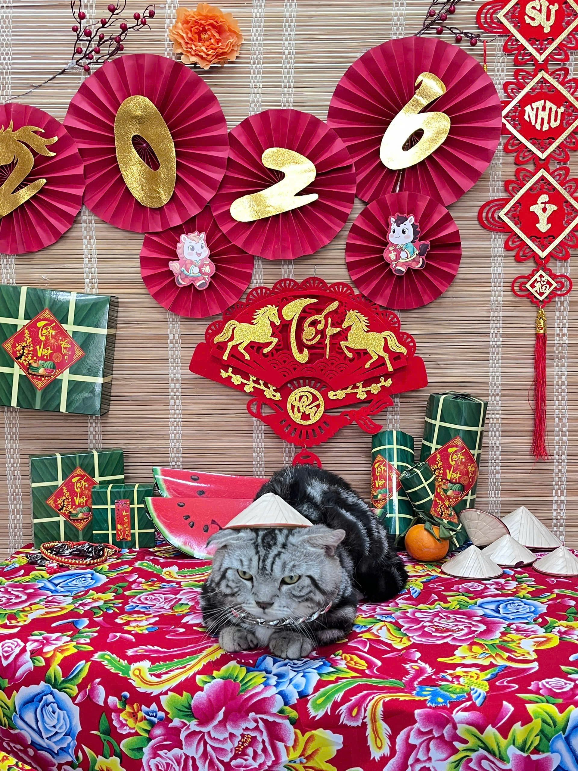 Dịch vụ chăm th&uacute; cưng 'từ A đến Z' thu h&uacute;t kh&aacute;ch dịp tết- Ảnh 7.