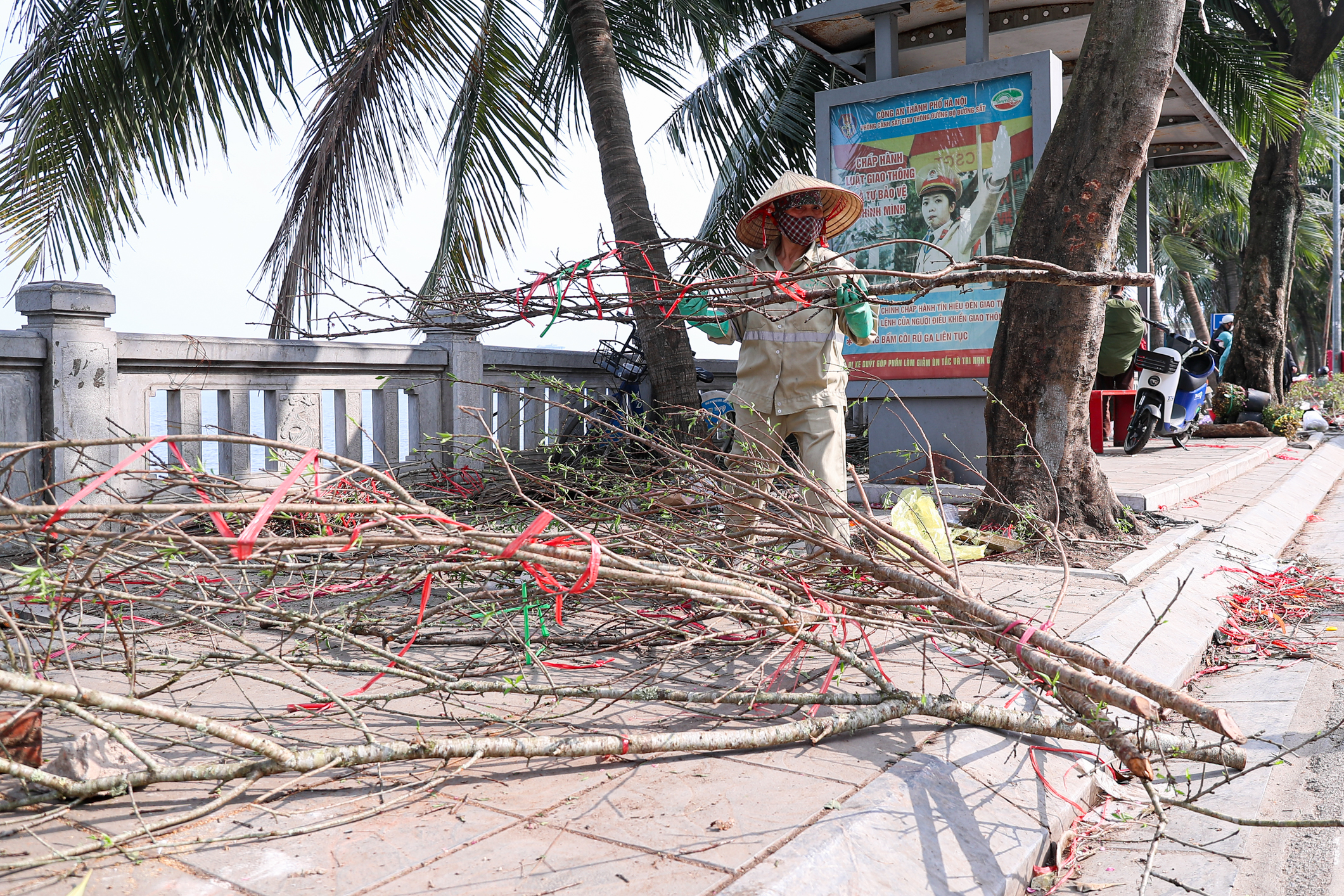 Chiều 29 tết, cành đào tiền triệu thành củi khô, chất đống trên vỉa hè Hà Nội- Ảnh 4. Chiều 29 tết, cành đào tiền triệu thành củi khô, chất đống trên vỉa hè Hà Nội- Ảnh 4.