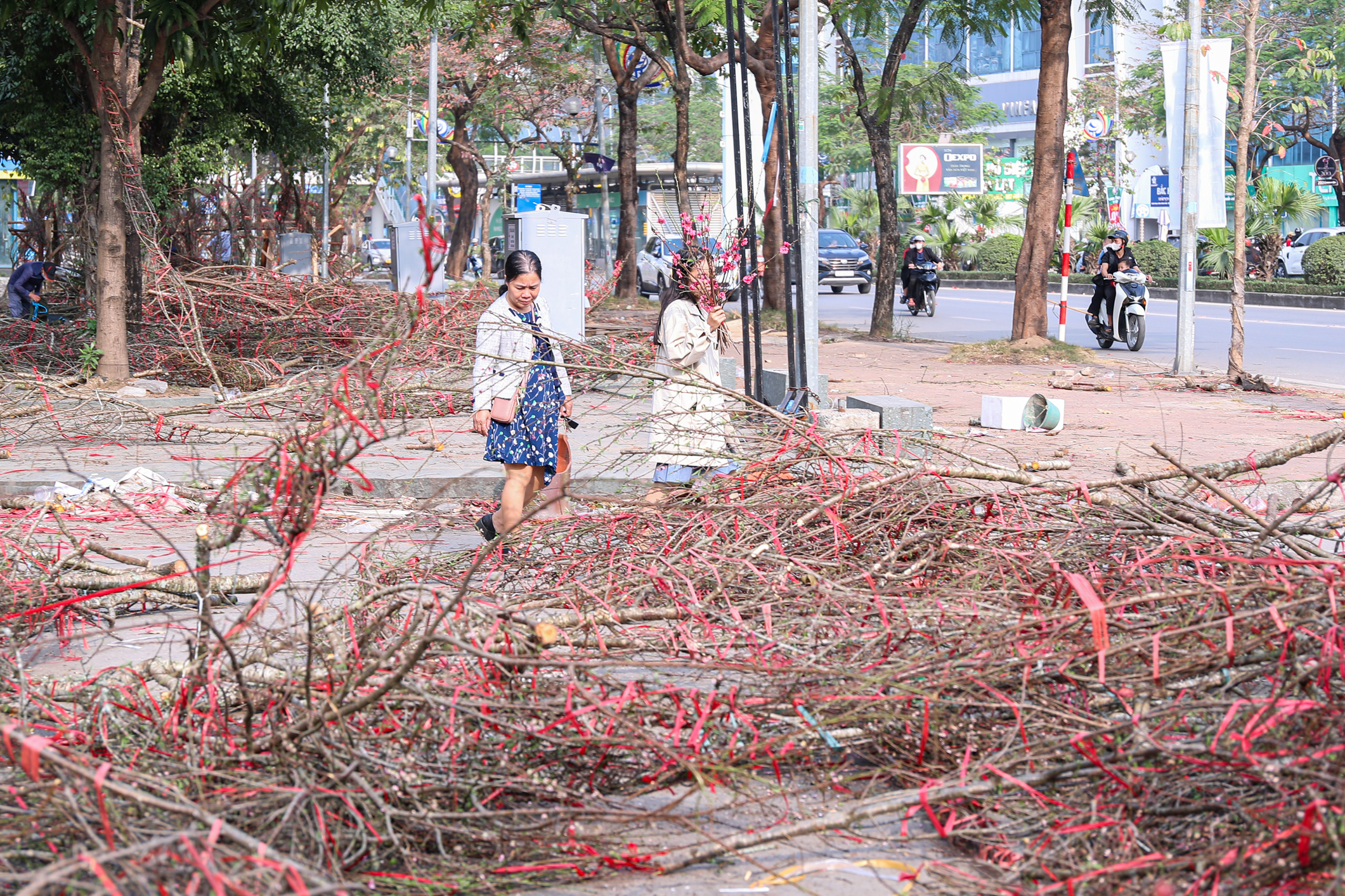 Chiều 29 tết, cành đào tiền triệu thành củi khô, chất đống trên vỉa hè Hà Nội- Ảnh 3. Chiều 29 tết, cành đào tiền triệu thành củi khô, chất đống trên vỉa hè Hà Nội- Ảnh 3.
