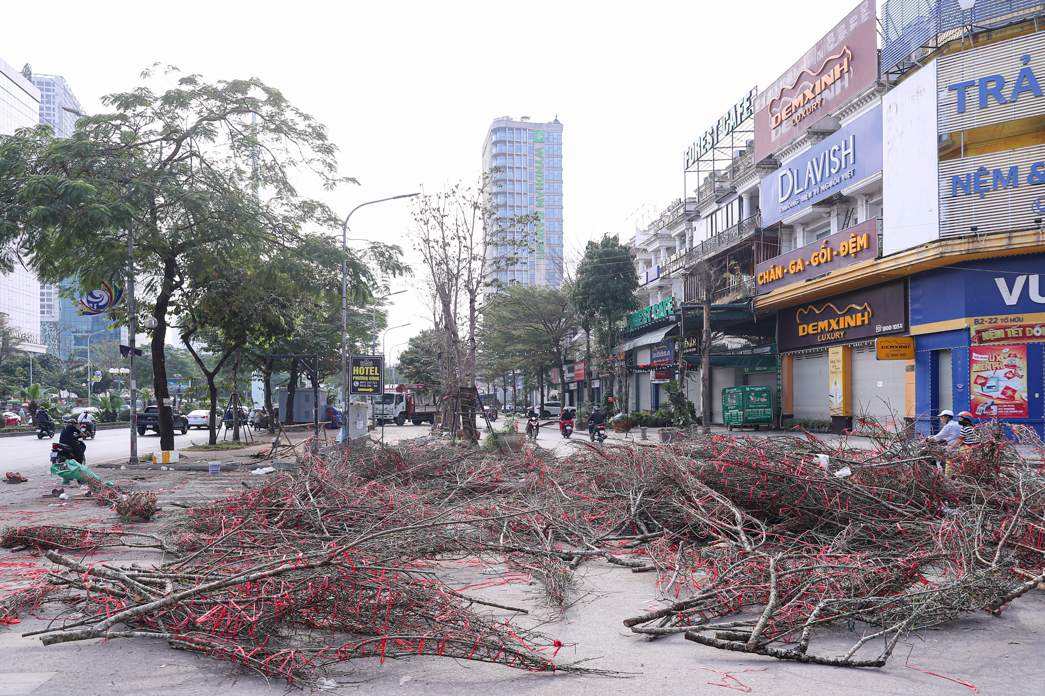 Chiều 29 tết, cành đào tiền triệu thành củi khô, chất đống trên vỉa hè Hà Nội- Ảnh 1. Chiều 29 tết, cành đào tiền triệu thành củi khô, chất đống trên vỉa hè Hà Nội- Ảnh 1.