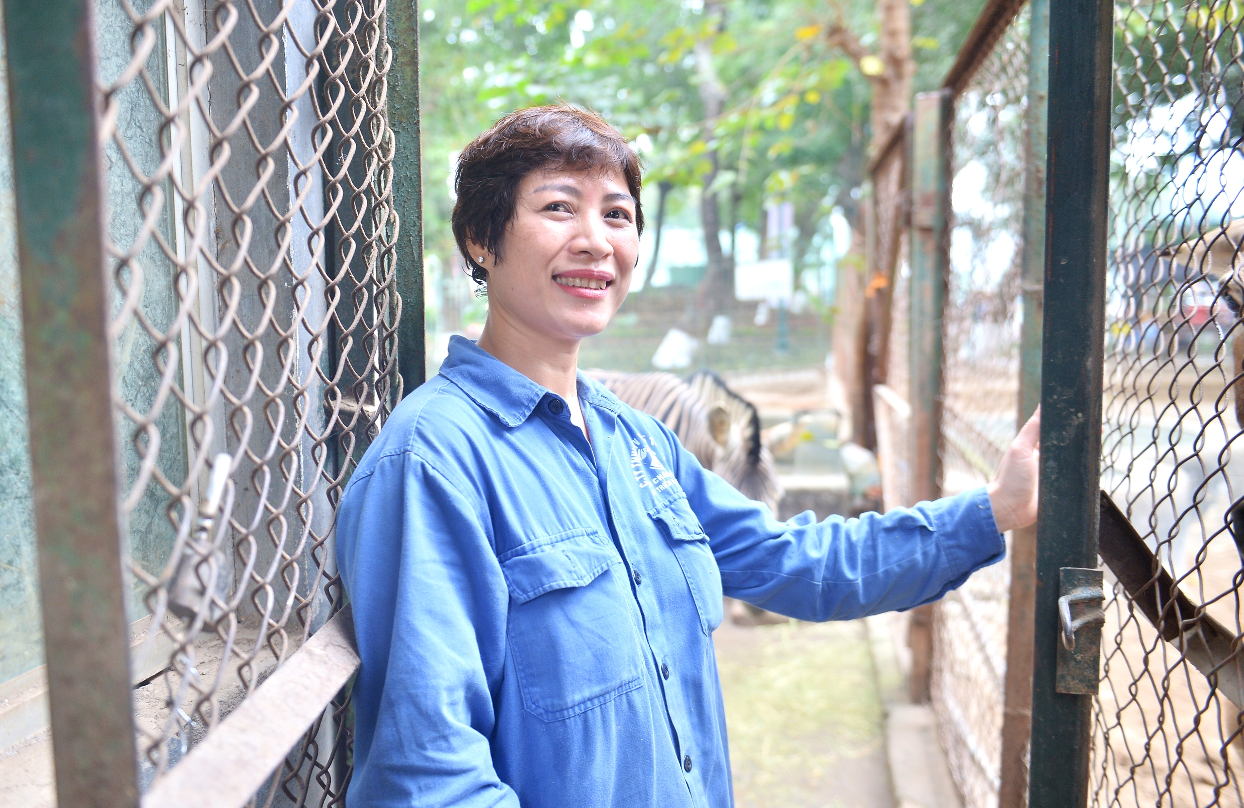 Chuyện ít biết về những chú ngựa biết 'nũng nịu' ở vườn thú Hà Nội- Ảnh 1. Chuyện ít biết về những chú ngựa biết 'nũng nịu' ở vườn thú Hà Nội- Ảnh 1.