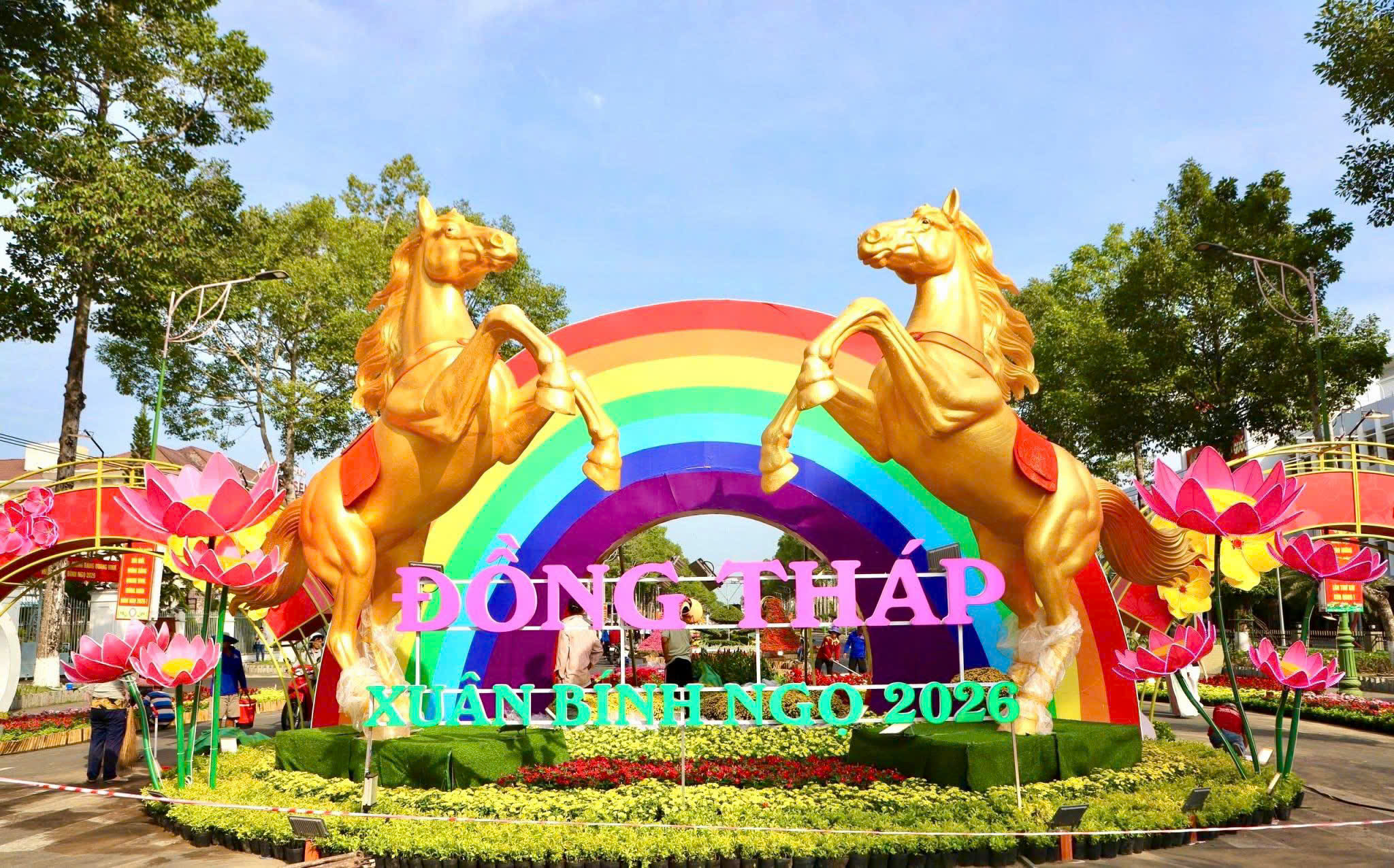 Những đường hoa xuân rực rỡ nhất 'xứ hoa' Đồng Tháp- Ảnh 3.