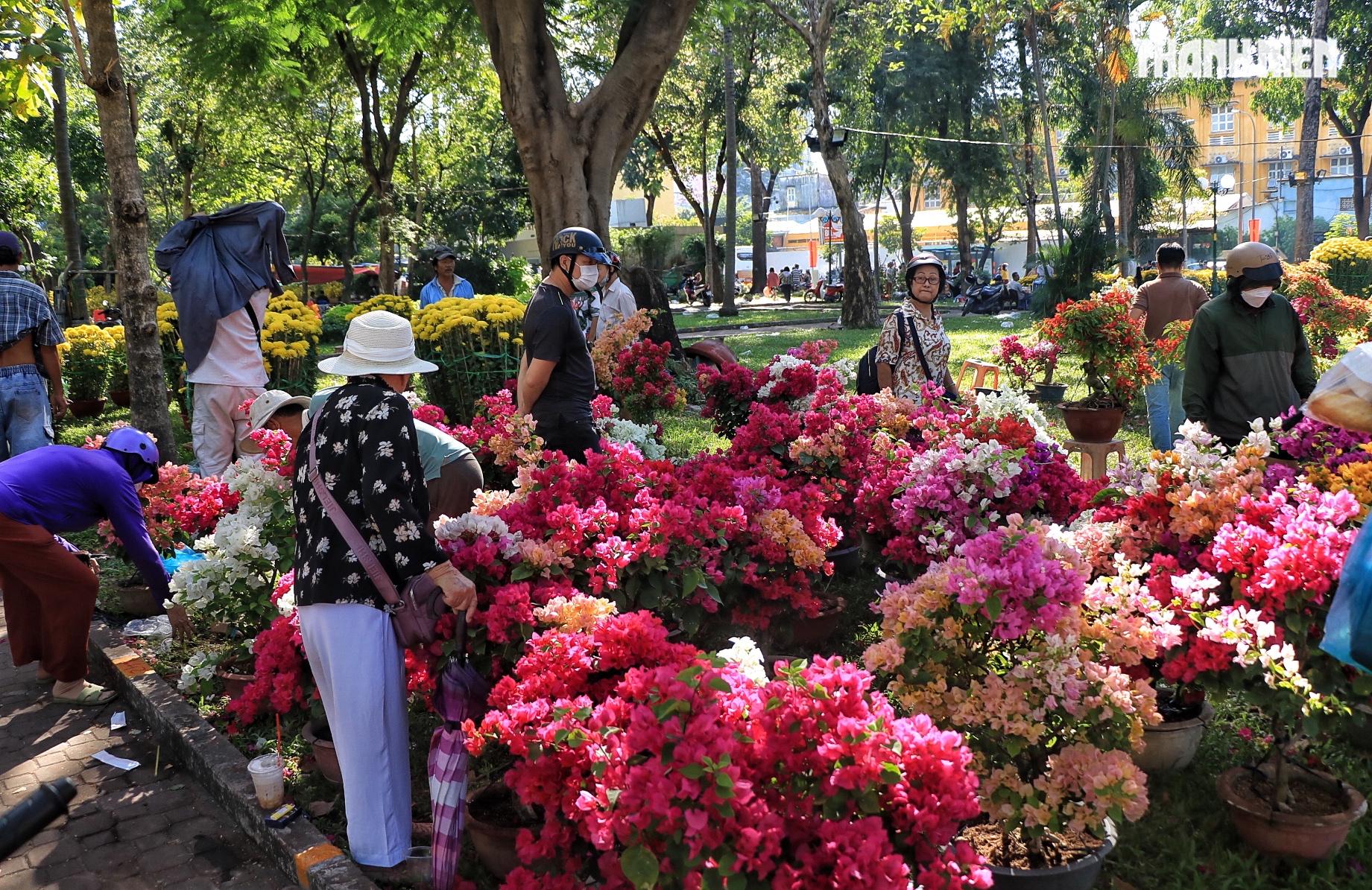 Chợ hoa tết ở TP.HCM sắp đ&oacute;ng cửa trước giao thừa: Người b&aacute;n xả h&agrave;ng giảm 50% - Ảnh 1.