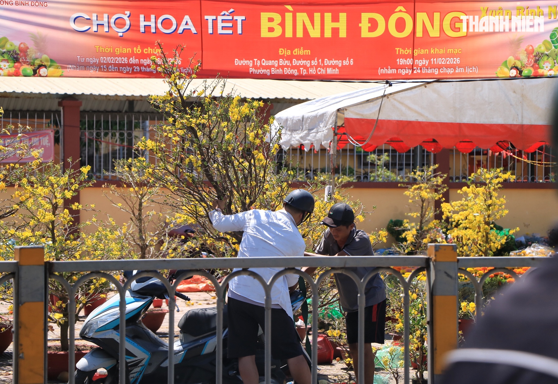 Chiều 29 tết: V&igrave; sao nhiều người ở TP.HCM đợi ng&agrave;y giao thừa mới mua hoa tết? - Ảnh 2.