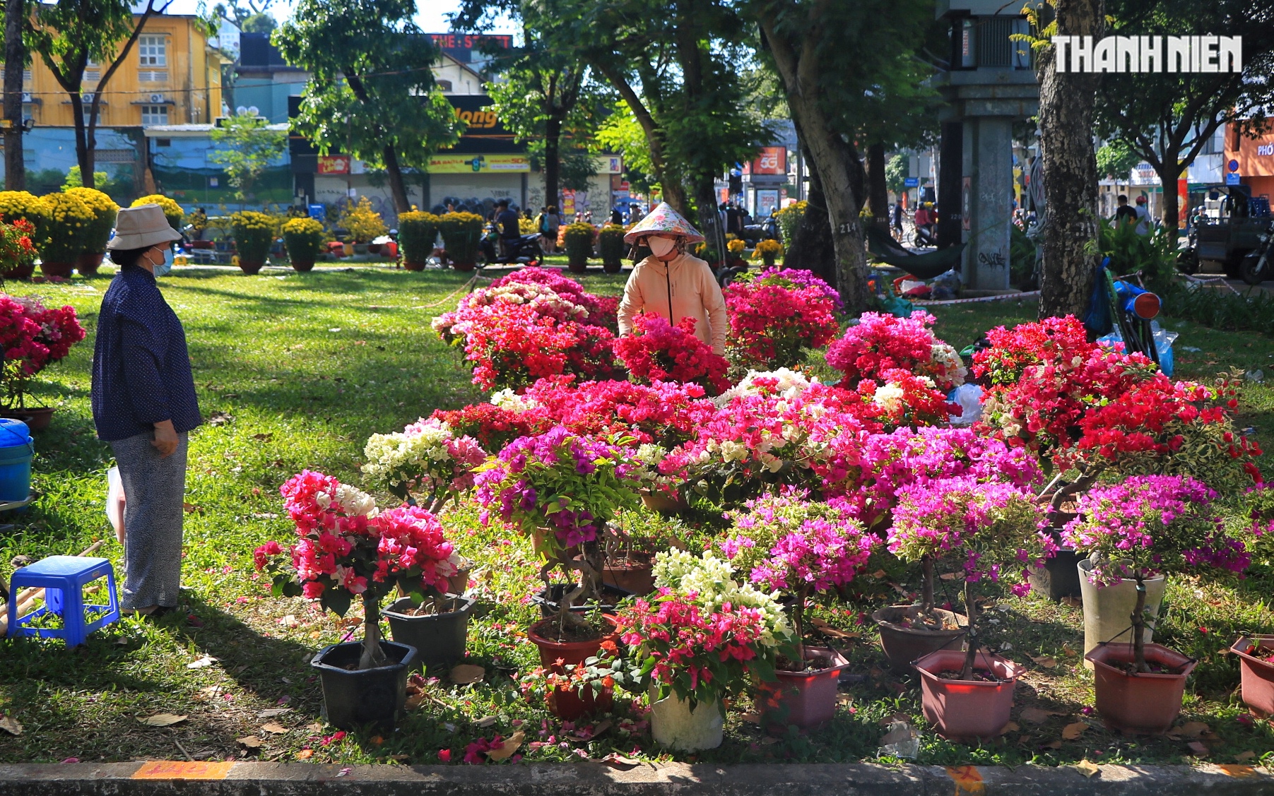 Chợ hoa tết ở TP.HCM sắp đ&oacute;ng cửa trước giao thừa: Người b&aacute;n xả h&agrave;ng giảm 50% - Ảnh 2.