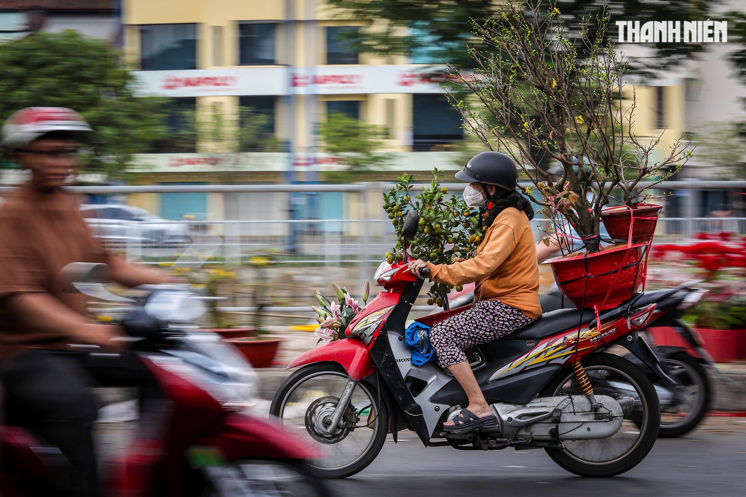 Người d&acirc;n TP . HCM mang xu&acirc;n về nh&agrave; trong ng&agrave;y giao thừa B&iacute;nh Ngọ 2026 - Ảnh 9.