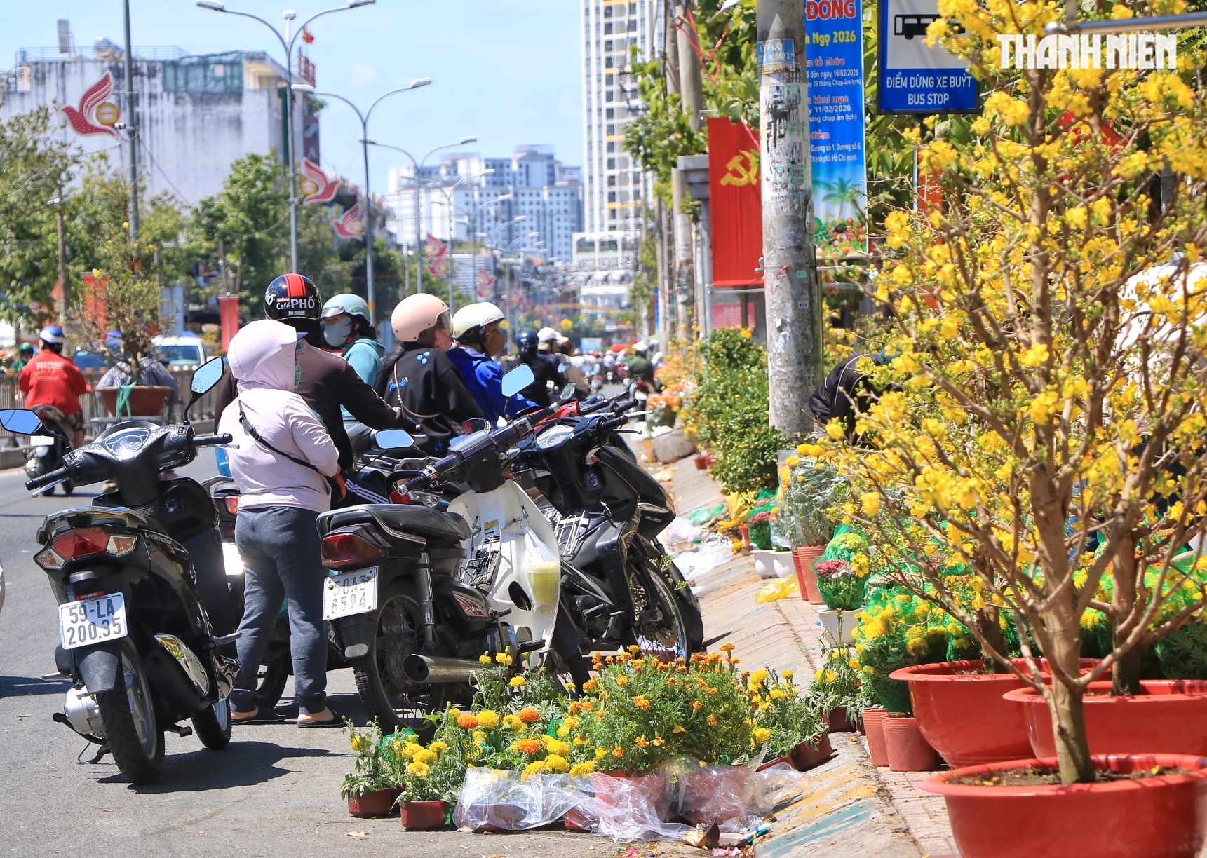 Trưa 29 tết, bất ngờ chợ hoa tết TP.HCM: Xuất hiện hoa miễn ph&iacute; từ nh&agrave; vườn - Ảnh 2.