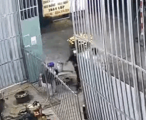 C&ocirc;ng an TP.HCM bắt 8 đối tượng ch&eacute;m, cướp t&agrave;i sản của người về qu&ecirc; ăn tết - Ảnh 1.