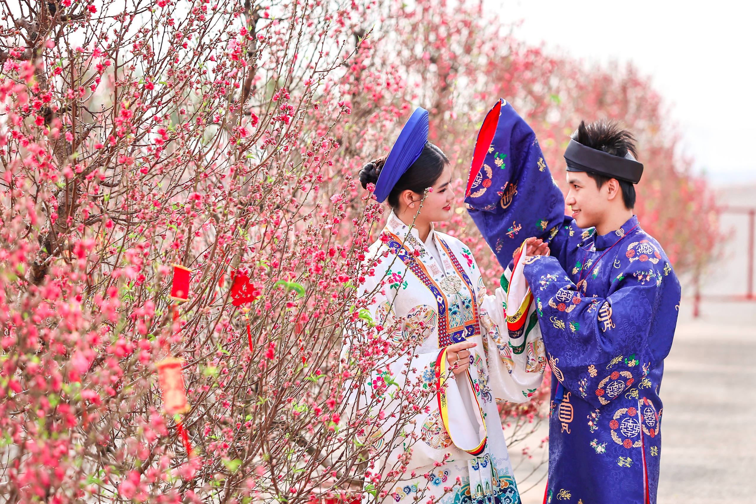 Đường hoa mai - đào lớn nhất miền Nam tại Cần Giờ nở rộ, check-in là 'auto' choáng ngợp- Ảnh 10. Đường hoa mai - đào lớn nhất miền Nam tại Cần Giờ nở rộ, check-in là 'auto' choáng ngợp- Ảnh 10.