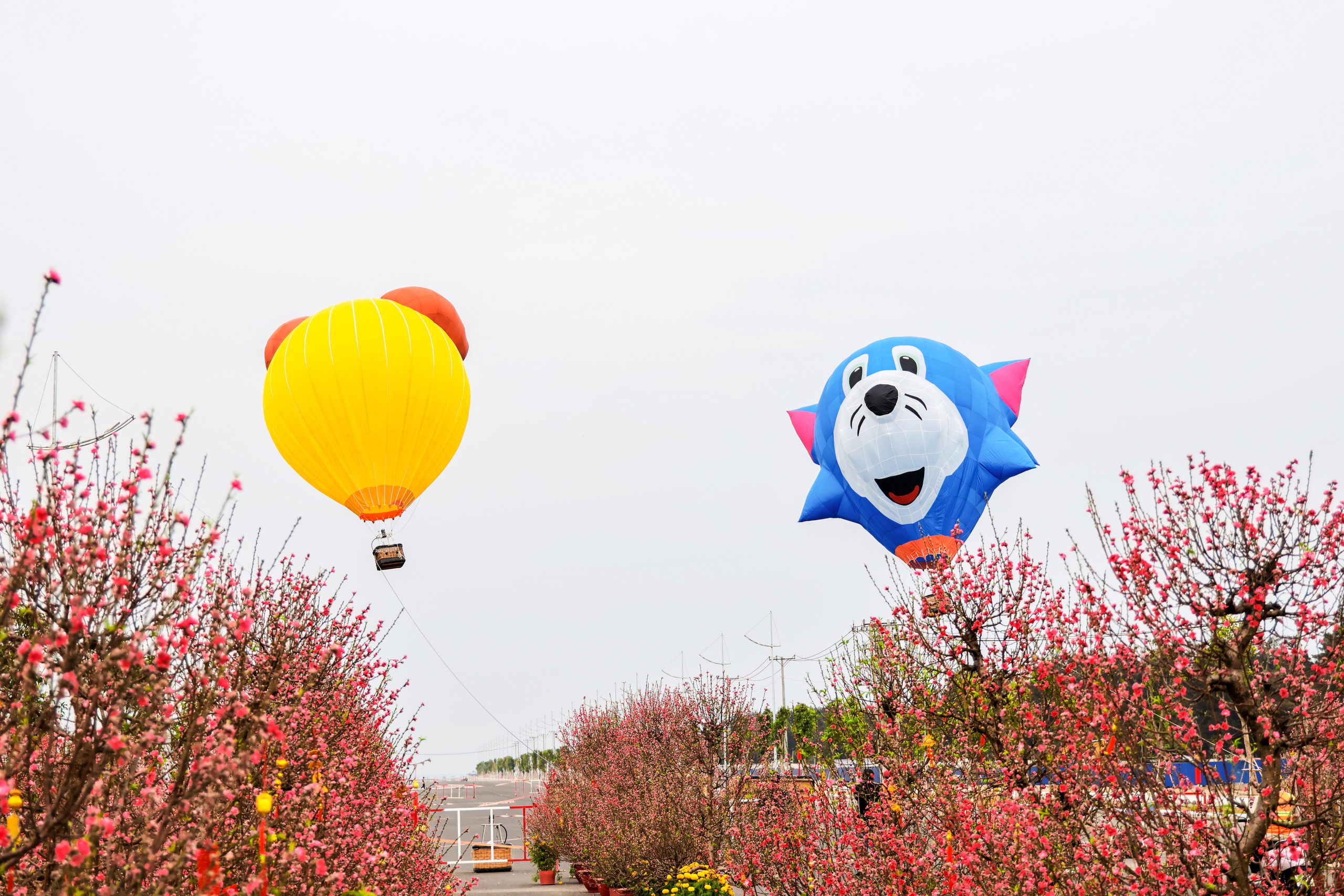 S&aacute;t tết, du kh&aacute;ch vẫn đổ về Cần Giờ bay d&ugrave; lượn, khinh kh&iacute; cầu - Ảnh 3.