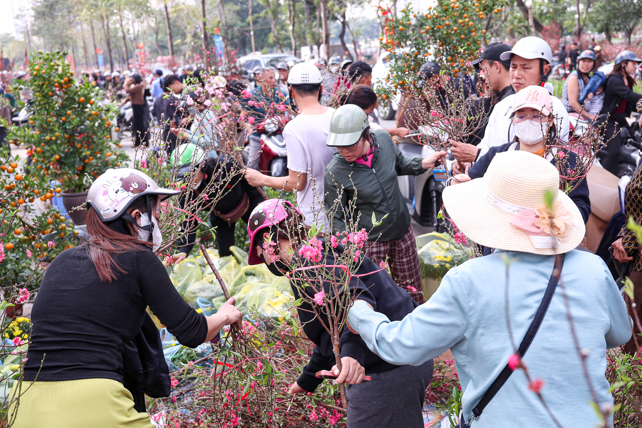 Chiều 29 tết, cành đào tiền triệu thành củi khô, chất đống trên vỉa hè Hà Nội- Ảnh 18. Chiều 29 tết, cành đào tiền triệu thành củi khô, chất đống trên vỉa hè Hà Nội- Ảnh 18.