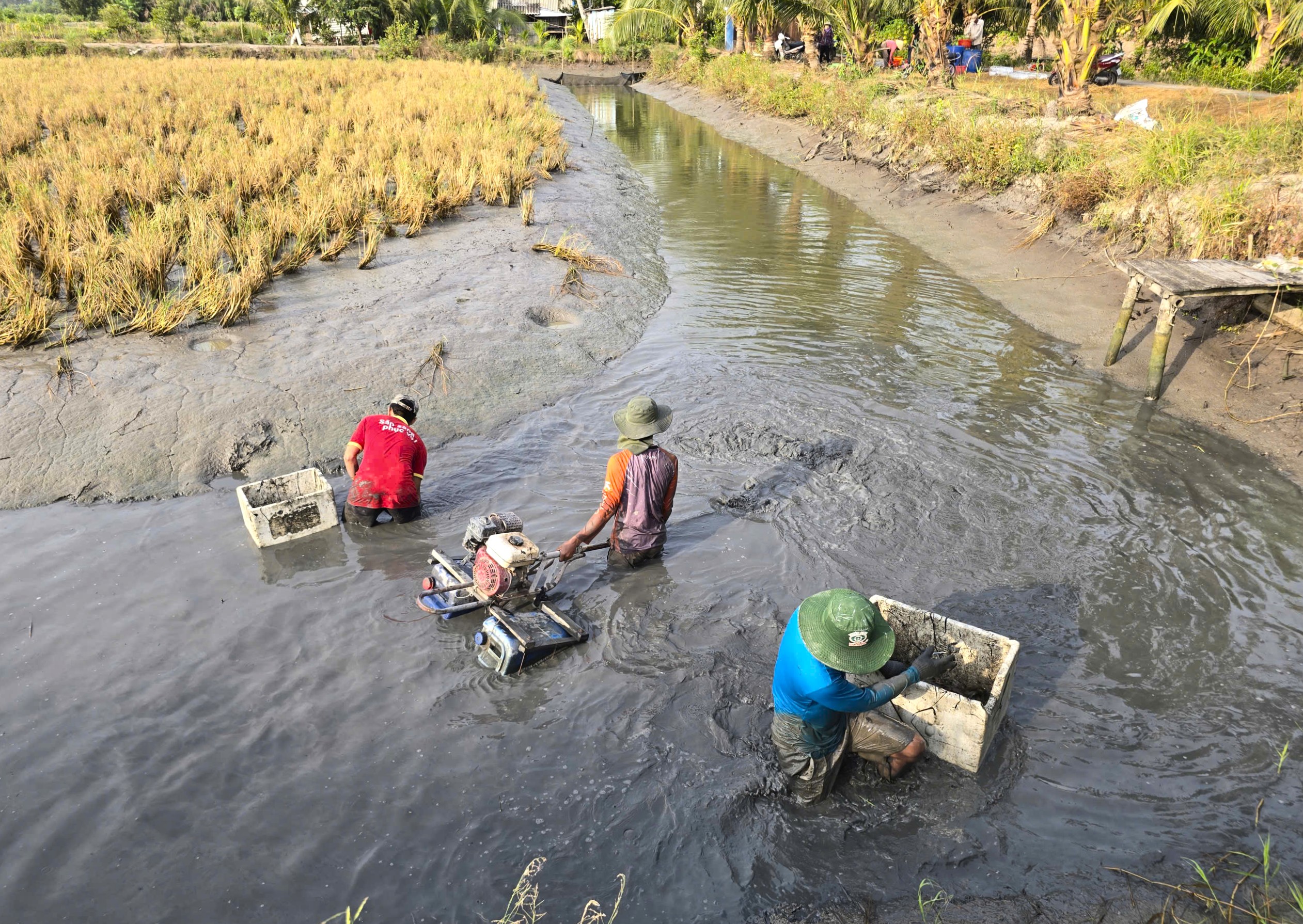 Cuối năm trúng lớn, nông dân Biển Bạch phấn khởi đón tết- Ảnh 2.