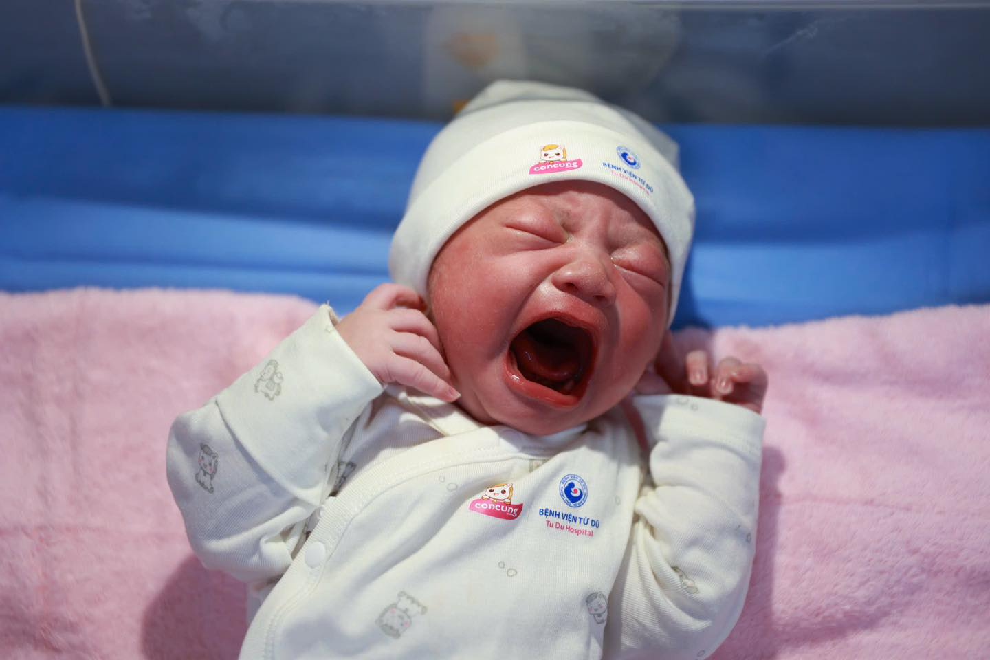 Bệnh viện Từ Dũ tặng vàng may mắn cho những 'em bé Bính Ngọ' đầu tiên- Ảnh 2.