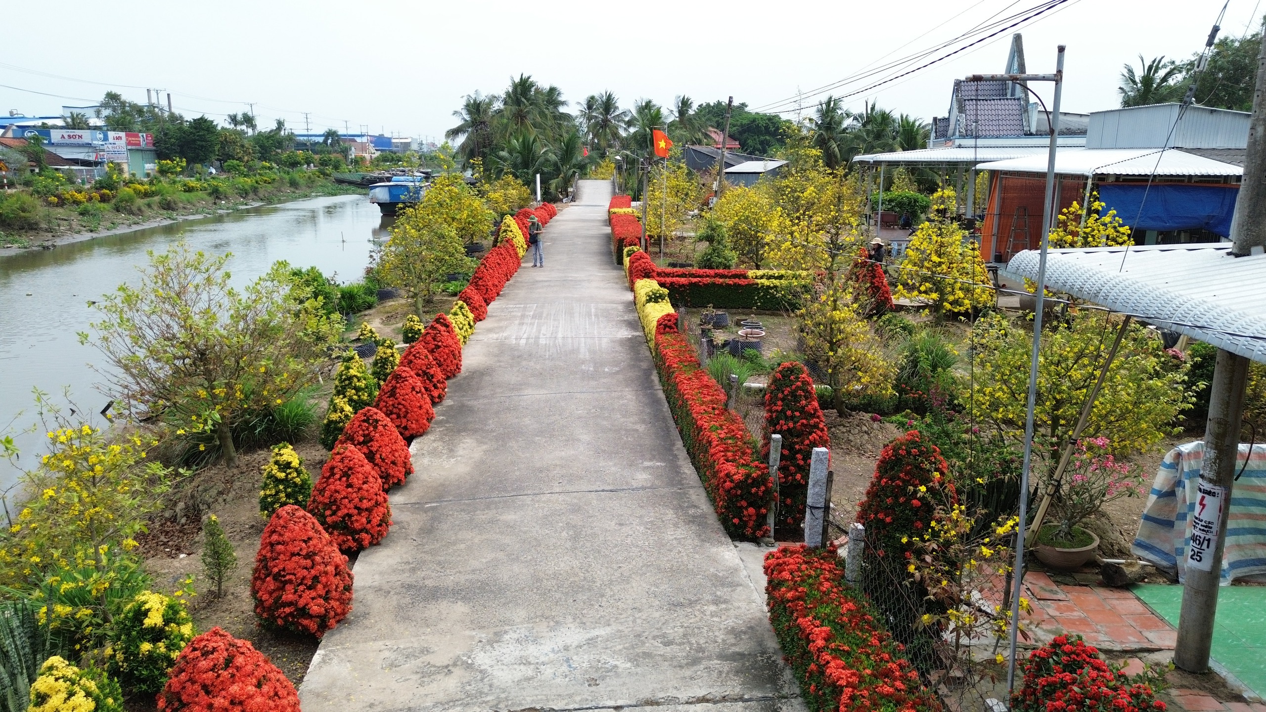 Xóm nhỏ miền Tây bừng sắc xuân với hàng rào hoa, hút khách check-in- Ảnh 4. Xóm nhỏ miền Tây bừng sắc xuân với hàng rào hoa, hút khách check-in- Ảnh 4.