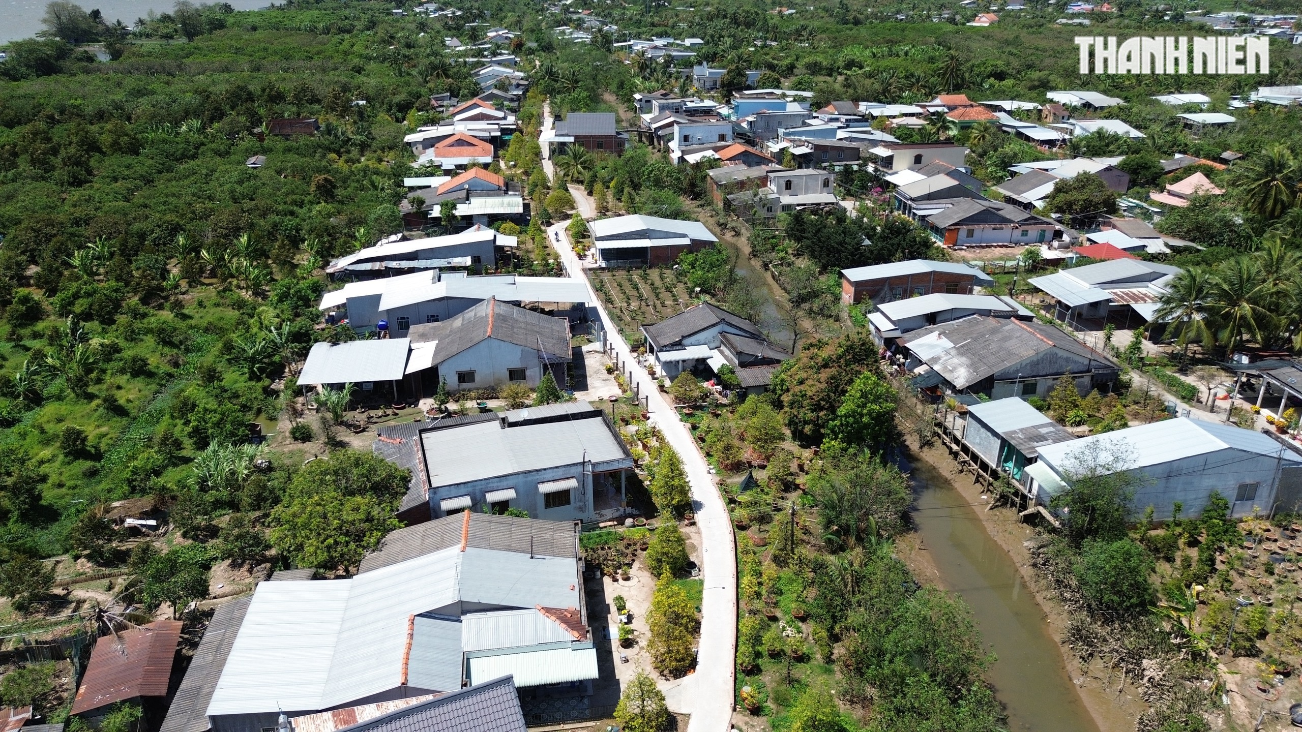 Những cây mai 'may mắn' ở Làng mai vàng Phước Định- Ảnh 9. Những cây mai 'may mắn' ở Làng mai vàng Phước Định- Ảnh 9.