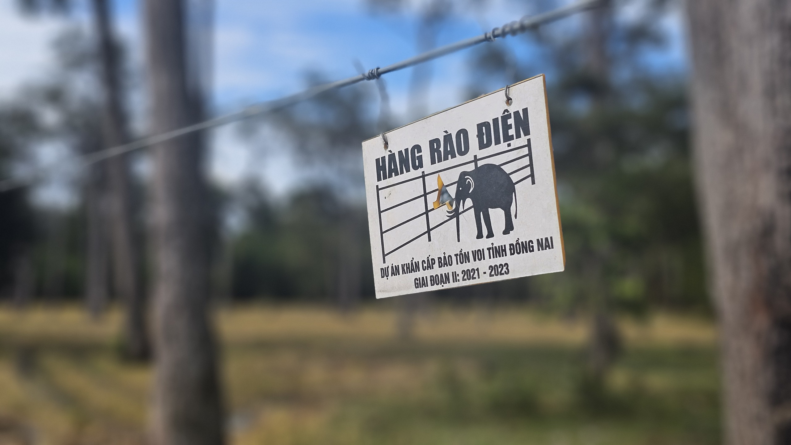 Cánh đồng châu Âu ở Tà Lài: Khám phá nguồn gốc và đời sống độc đáo - Ảnh 11. Cánh đồng châu Âu ở Tà Lài: Khám phá nguồn gốc và đời sống độc đáo - Ảnh 11.