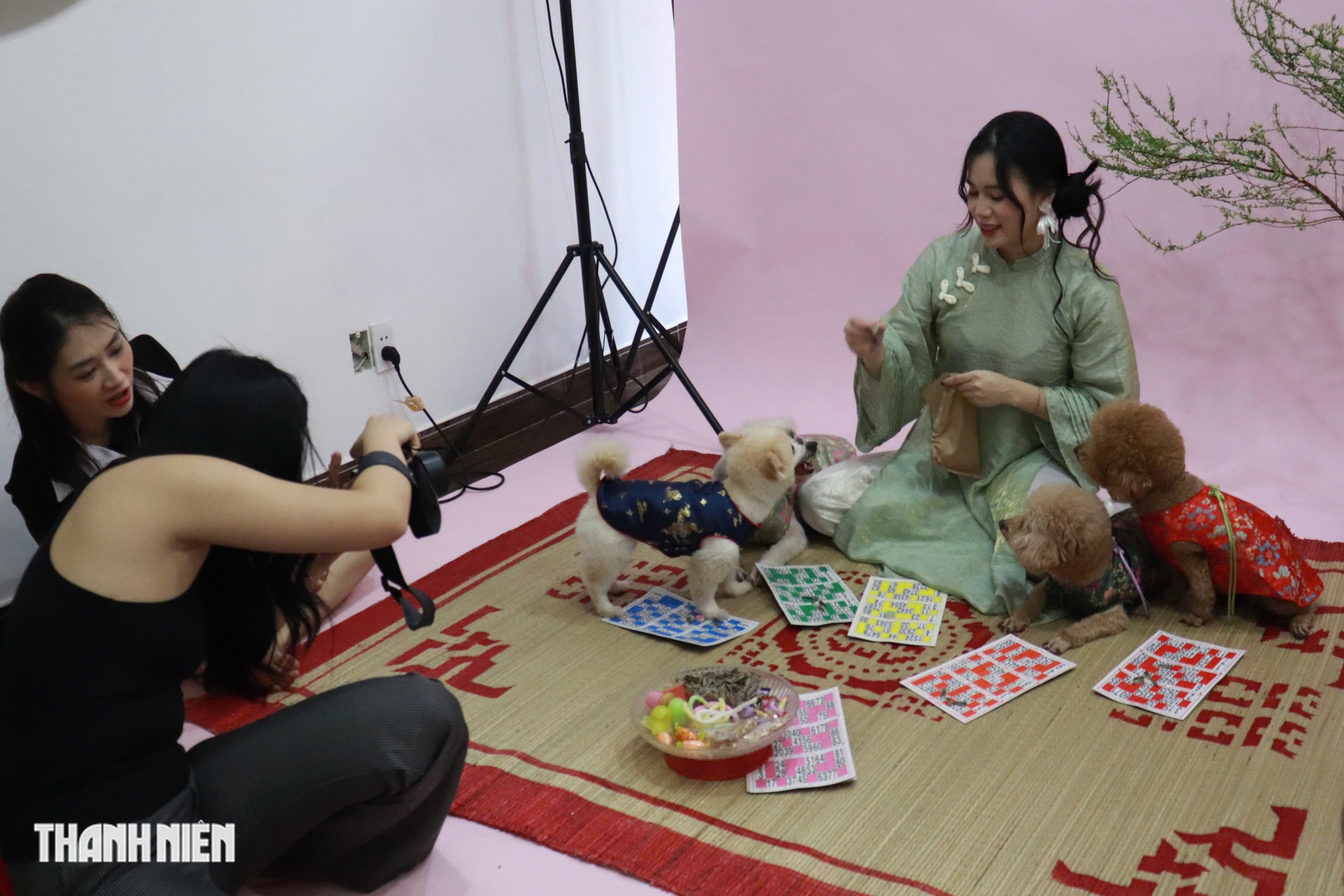 Thú cưng lên đồ chụp ảnh tết, chủ chi tiền triệu vẫn vui - Ảnh 2.