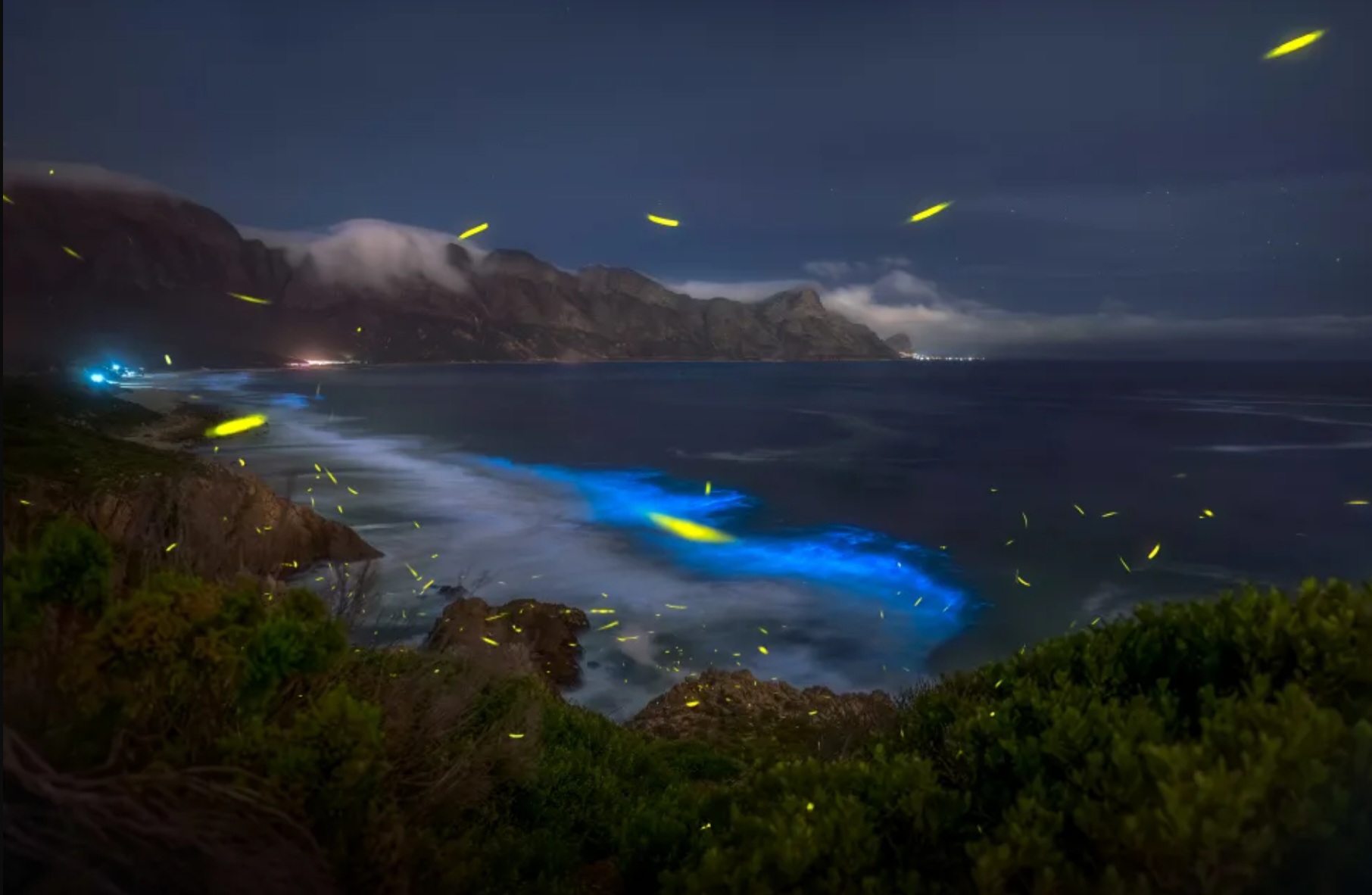 Ngắm những bức ảnh đẹp đến mức như do trí tuệ nhân tạo tạo ra - Ảnh 9.