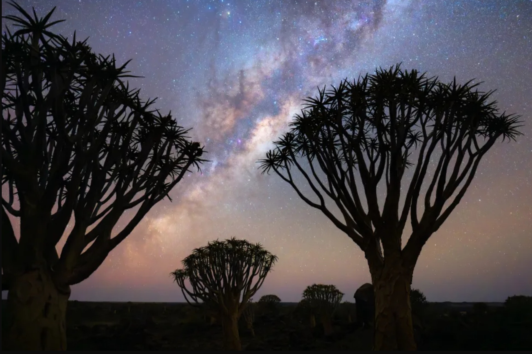 Ngắm những bức ảnh đẹp đến mức như do trí tuệ nhân tạo tạo ra - Ảnh 5.