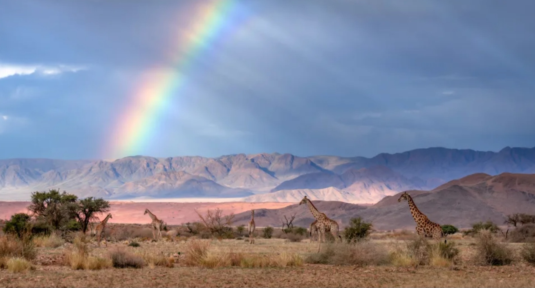 Ngắm những bức ảnh đẹp đến mức như do trí tuệ nhân tạo tạo ra - Ảnh 3.