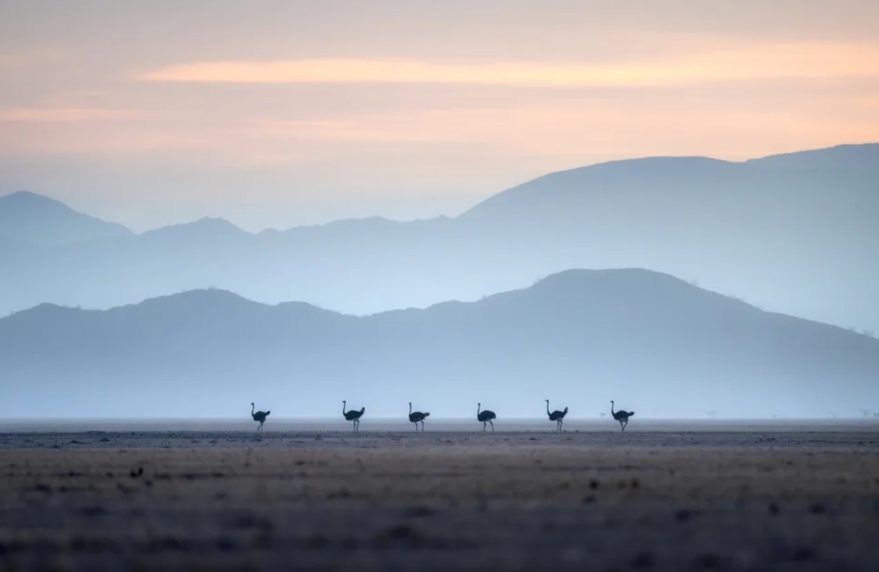 Ngắm những bức ảnh đẹp đến mức như do trí tuệ nhân tạo tạo ra - Ảnh 4.