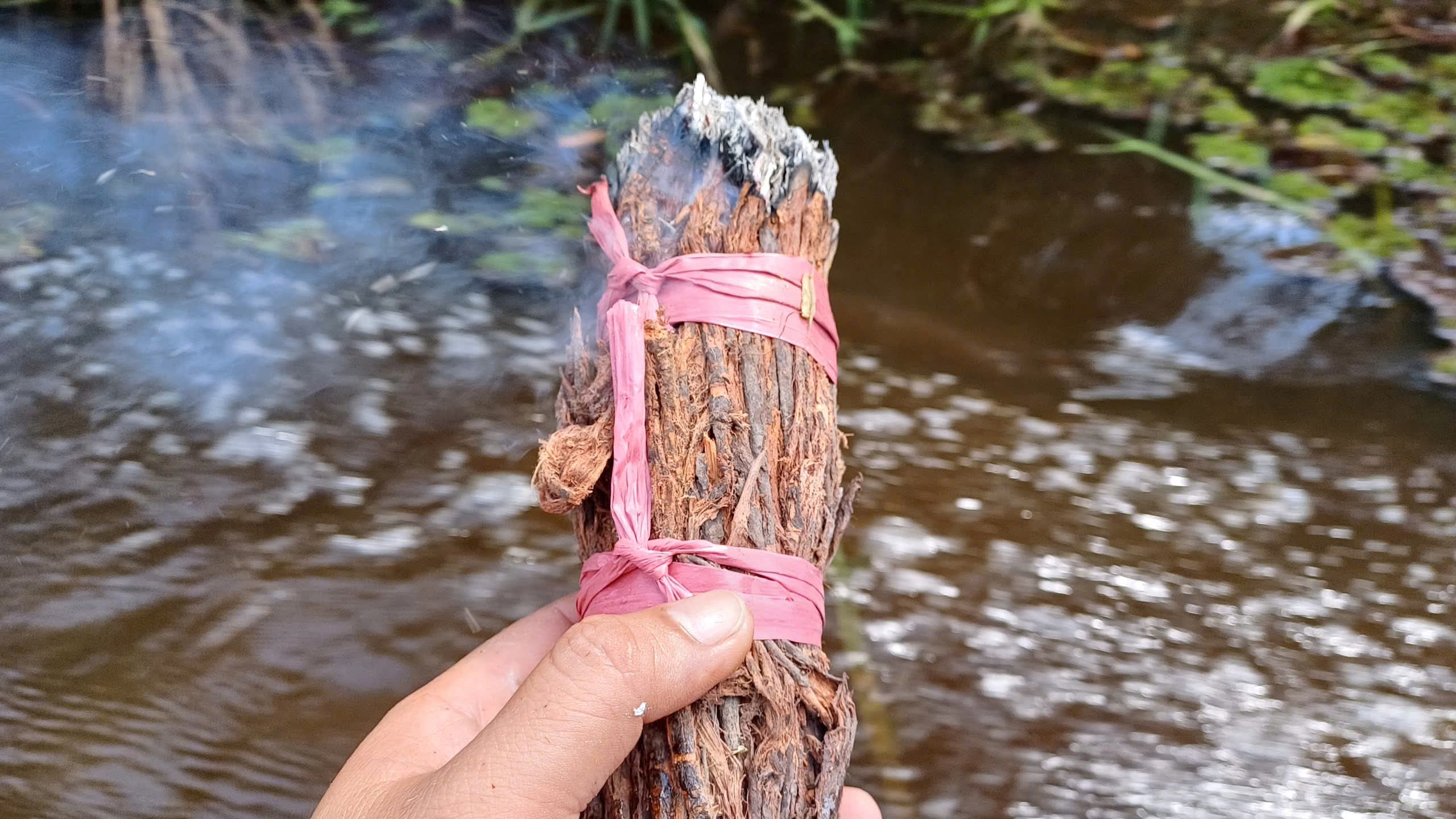 G&aacute;c k&egrave;o ong U Minh Hạ: Nghề 'mời ong về ở' giữ hồn rừng tr&agrave;m   - Ảnh 6.