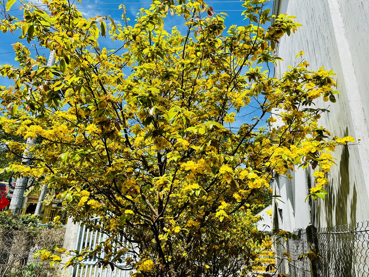 Cảnh báo từ mai Nam bộ nắng nóng đến 36 độ C
- Ảnh 1.