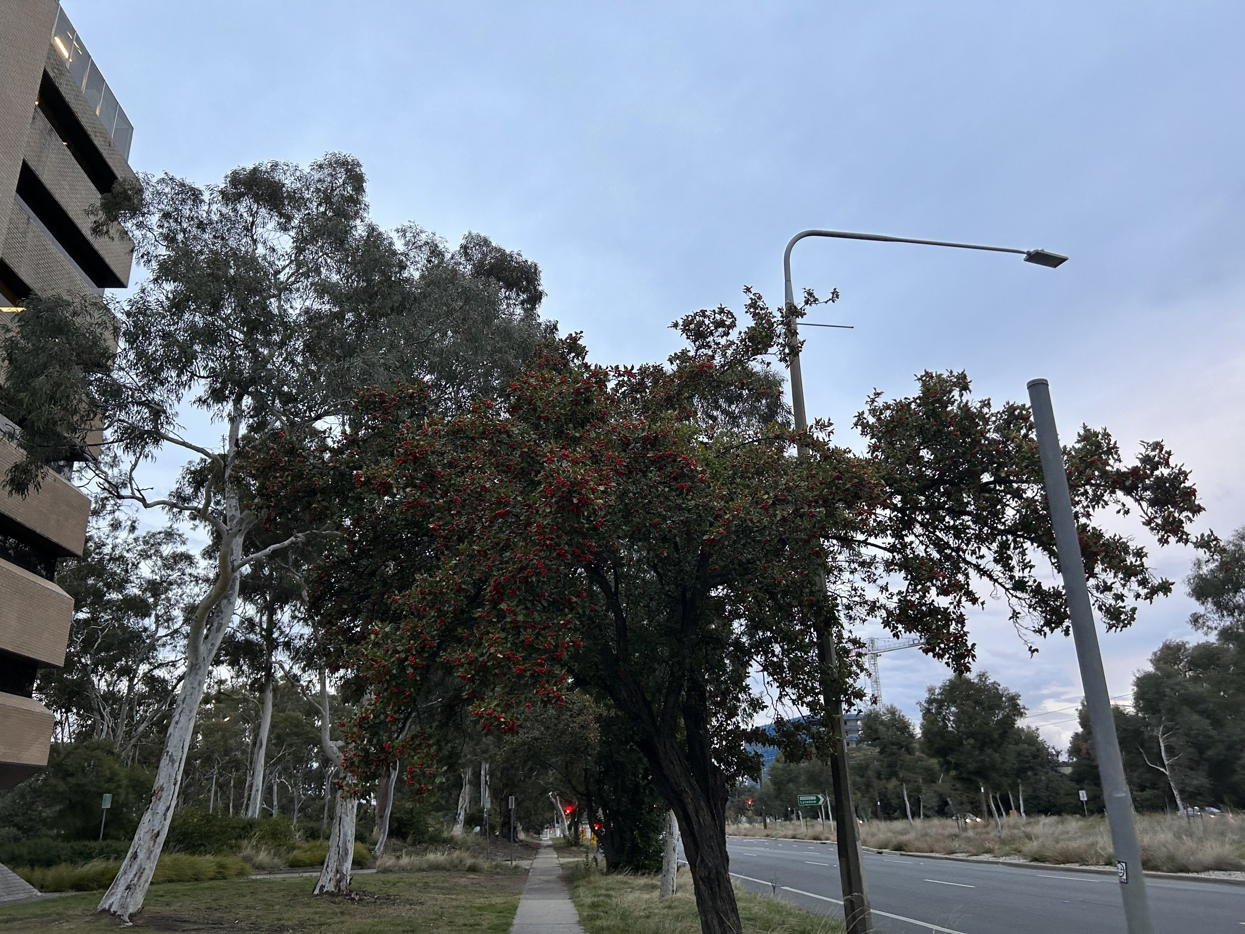 Tết không chỉ là nơi mình ở, mà là nơi mình thuộc về - Ảnh 1.