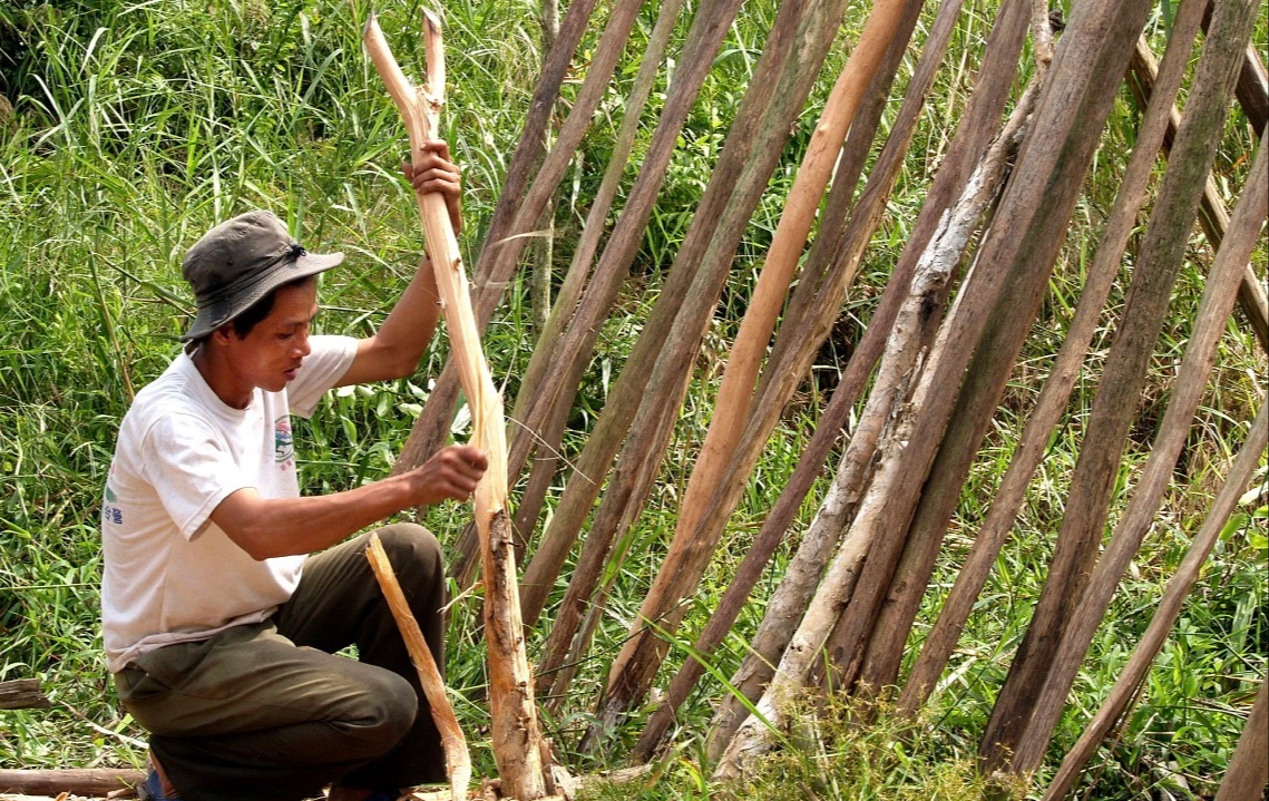 G&aacute;c k&egrave;o ong U Minh Hạ: Nghề 'mời ong về ở' giữ hồn rừng tr&agrave;m   - Ảnh 4.