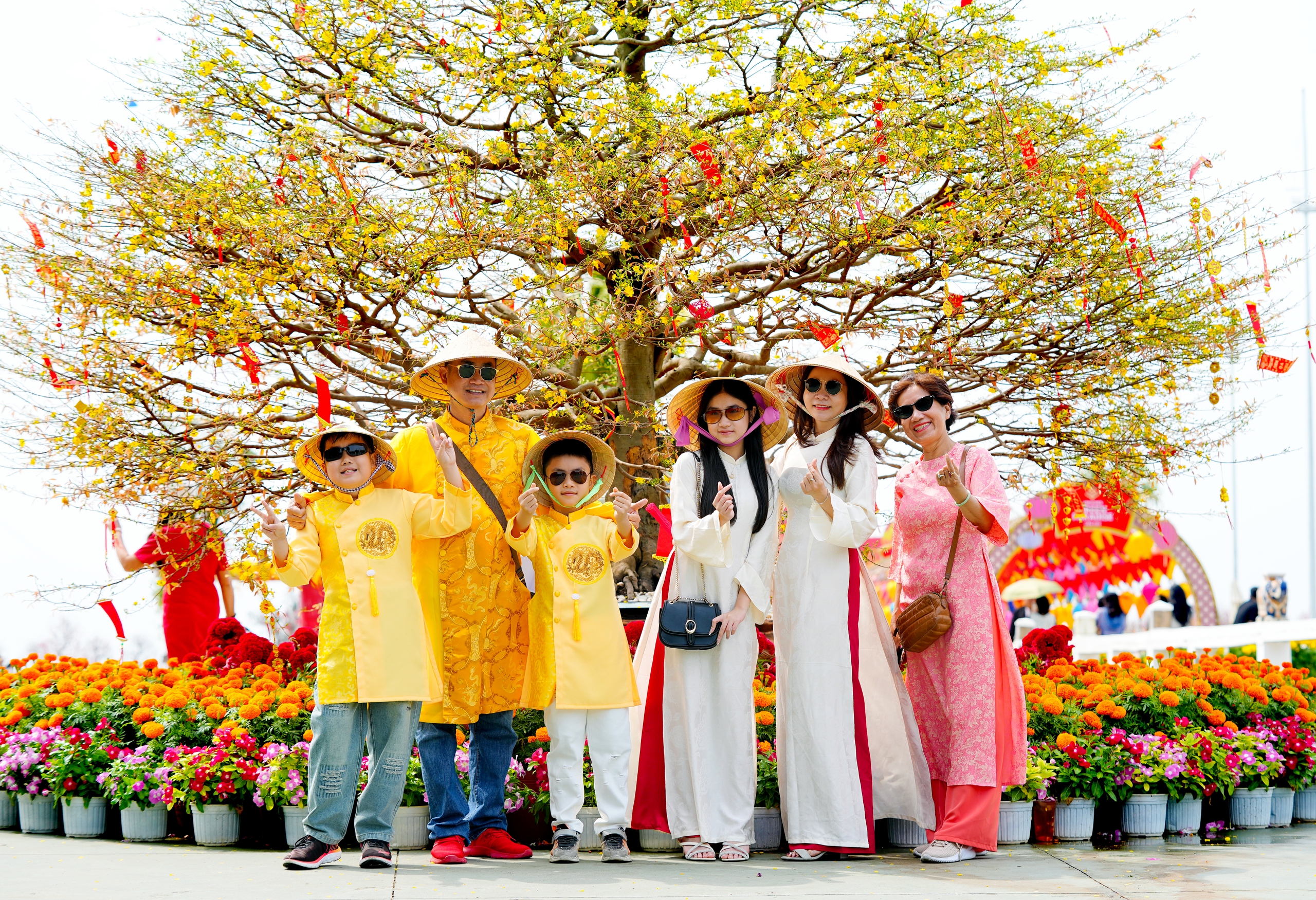 'Cụ mai' 150 tuổi bung nở ở Cần Giờ, du kh&aacute;ch n&ocirc; nức xin lộc đầu năm- Ảnh 1.