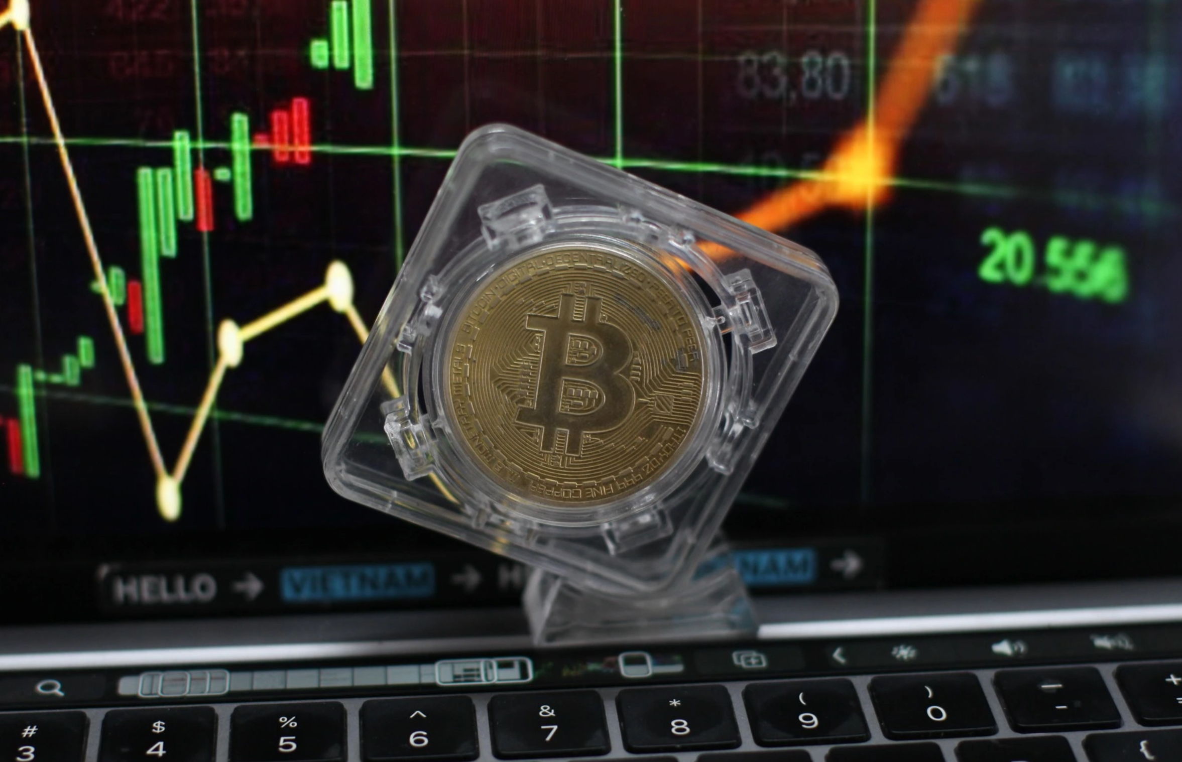 Giá Bitcoin hôm nay 19.2.2026: BTC sập giá, chuẩn bị đợt biến động mới - Ảnh 1.