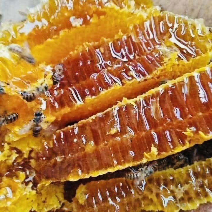 G&aacute;c k&egrave;o ong U Minh Hạ: Nghề 'mời ong về ở' giữ hồn rừng tr&agrave;m   - Ảnh 3.