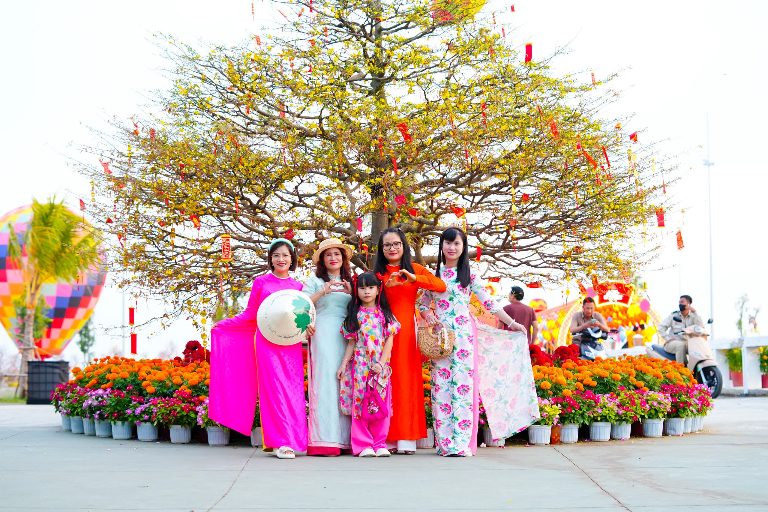 'Cụ mai' 150 tuổi bung nở ở Cần Giờ, du kh&aacute;ch n&ocirc; nức xin lộc đầu năm- Ảnh 2.