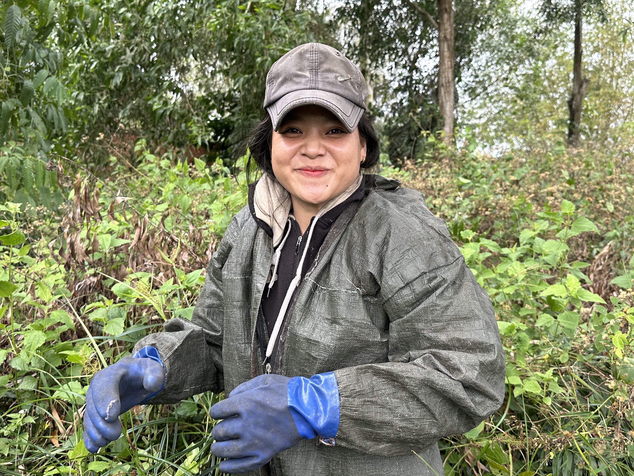G&aacute;c k&egrave;o ong U Minh Hạ: Nghề 'mời ong về ở' giữ hồn rừng tr&agrave;m   - Ảnh 5.
