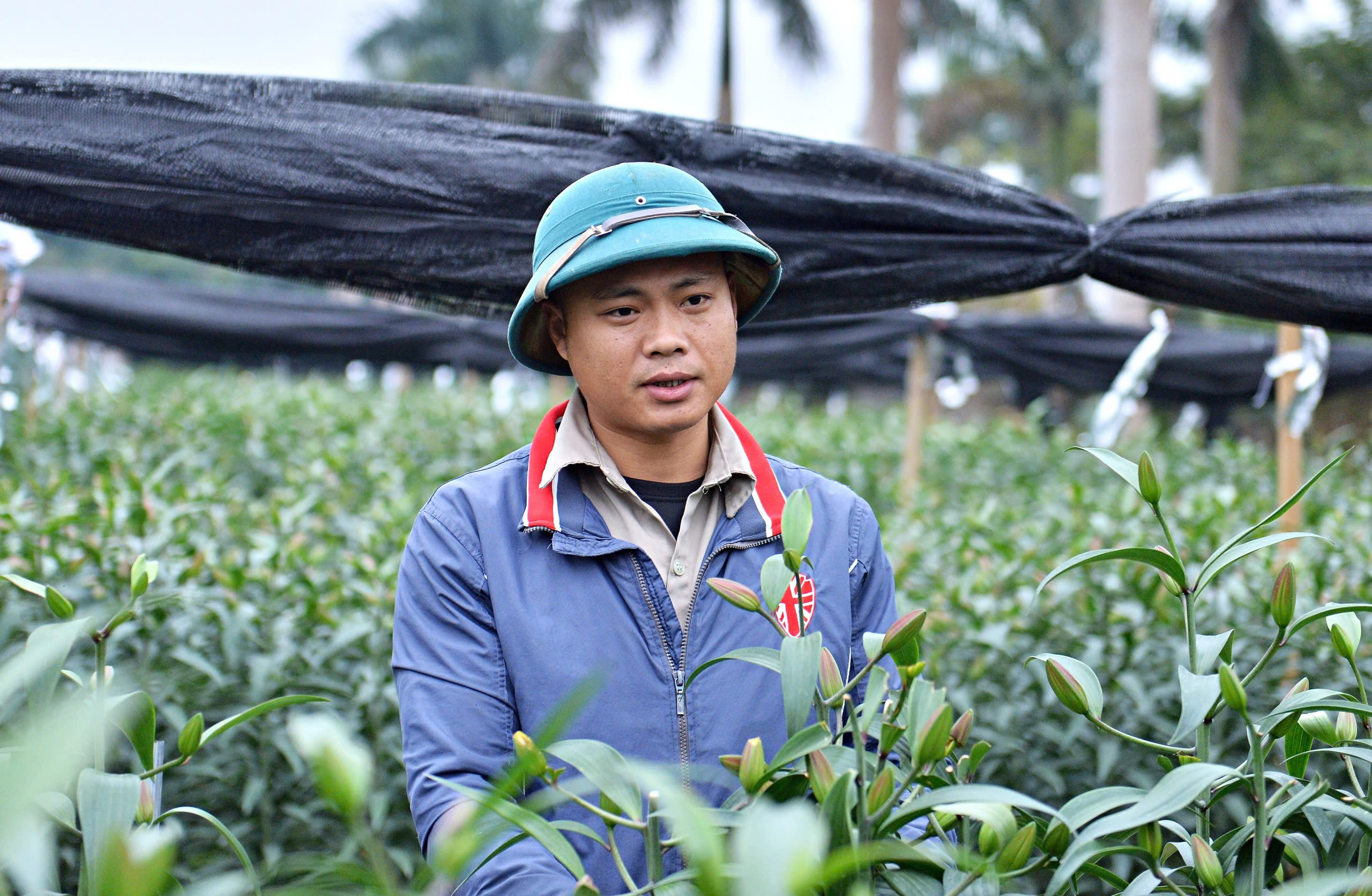 - Ảnh 6. - Ảnh 6.