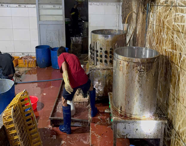 Ph&aacute;t hiện 10 tấn thịt g&agrave; kh&ocirc;ng r&otilde; nguồn gốc ở kh&aacute;nh h&ograve;a trong năm 2026 - Ảnh 3.