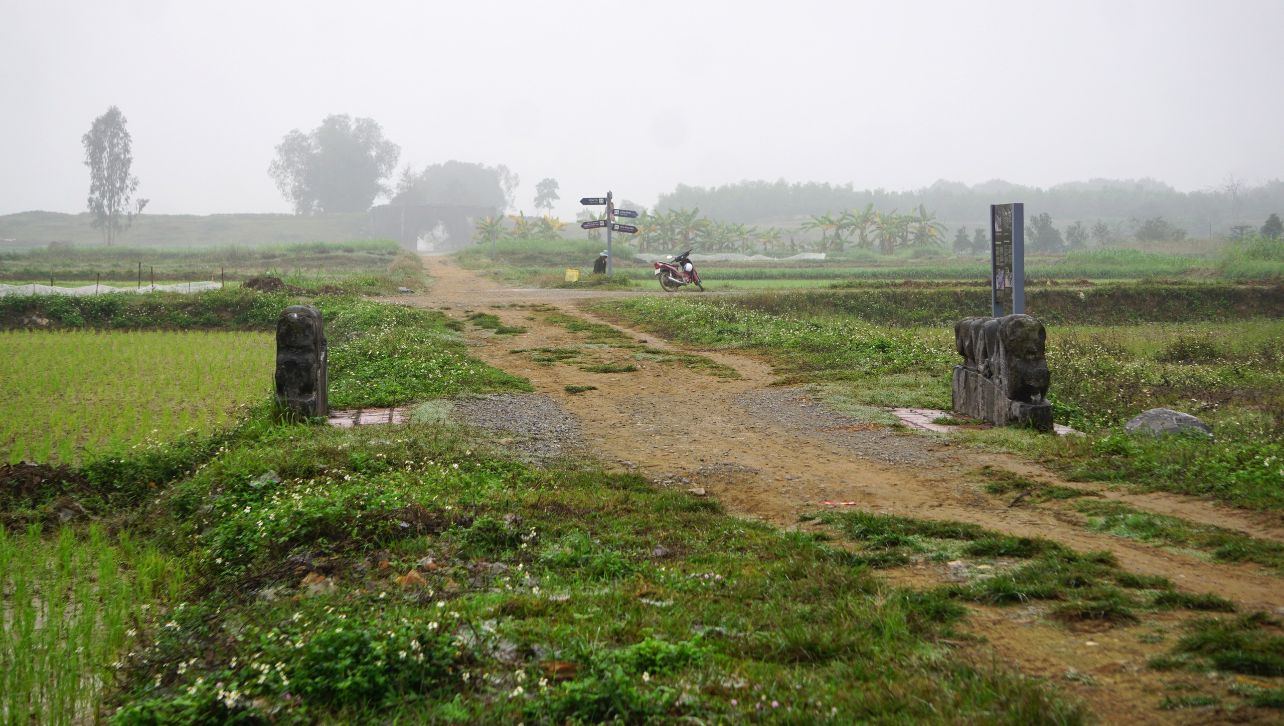 Ph&aacute;t hiện nhiều di vật tr&aacute;ng men bằng v&agrave;ng ở di sản Th&agrave;nh nh&agrave; Hồ - Ảnh 3.