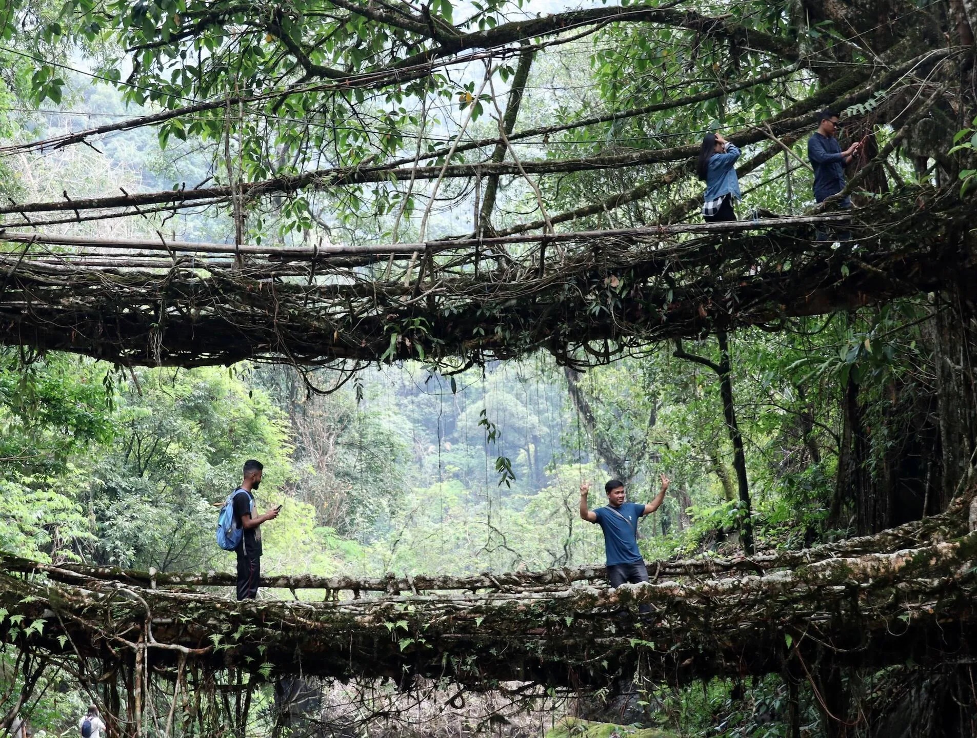 Cây cầu ở Việt Nam vào top 5 đẹp nhất thế giới - Ảnh 2.