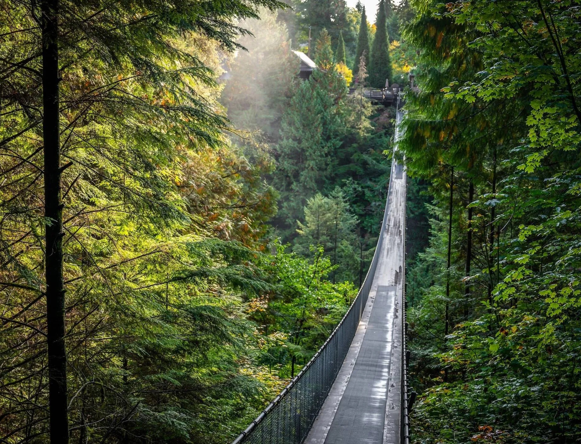 Cây cầu ở Việt Nam vào top 5 đẹp nhất thế giới - Ảnh 9.