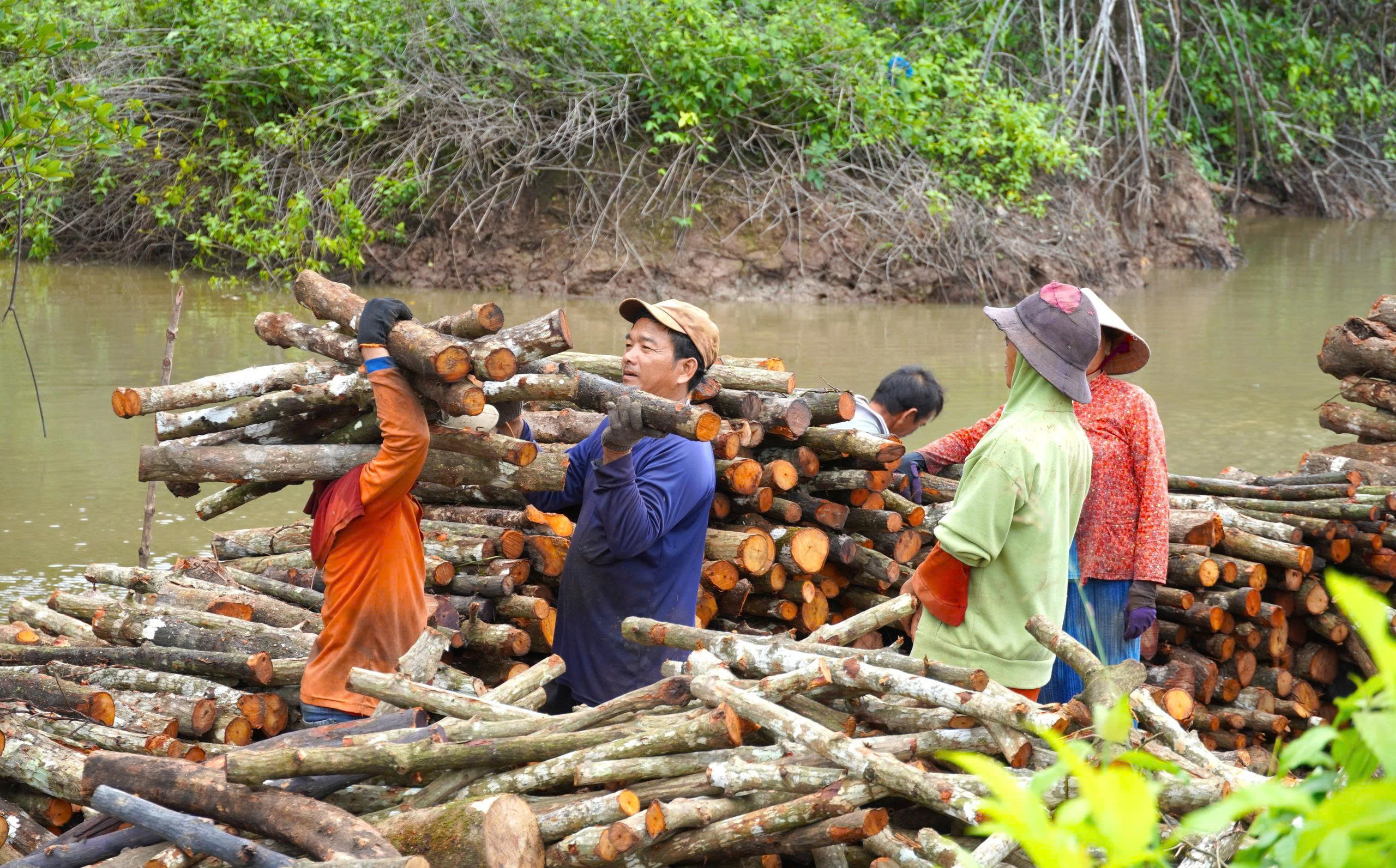 Nghề hầm than Cà Mau trăm năm đỏ lửa - Ảnh 3. Nghề hầm than Cà Mau trăm năm đỏ lửa - Ảnh 3.