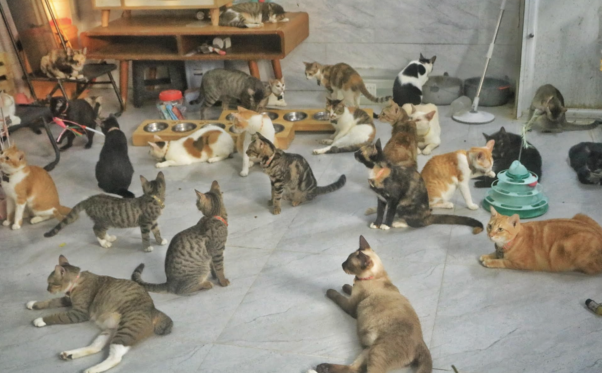 Hôm nay 22.2 là ngày gì mà nhiều người quan tâm? Lịch âm có phải ngày đẹp? - Ảnh 2. Hôm nay 22.2 là ngày gì mà nhiều người quan tâm? Lịch âm có phải ngày đẹp? - Ảnh 2.