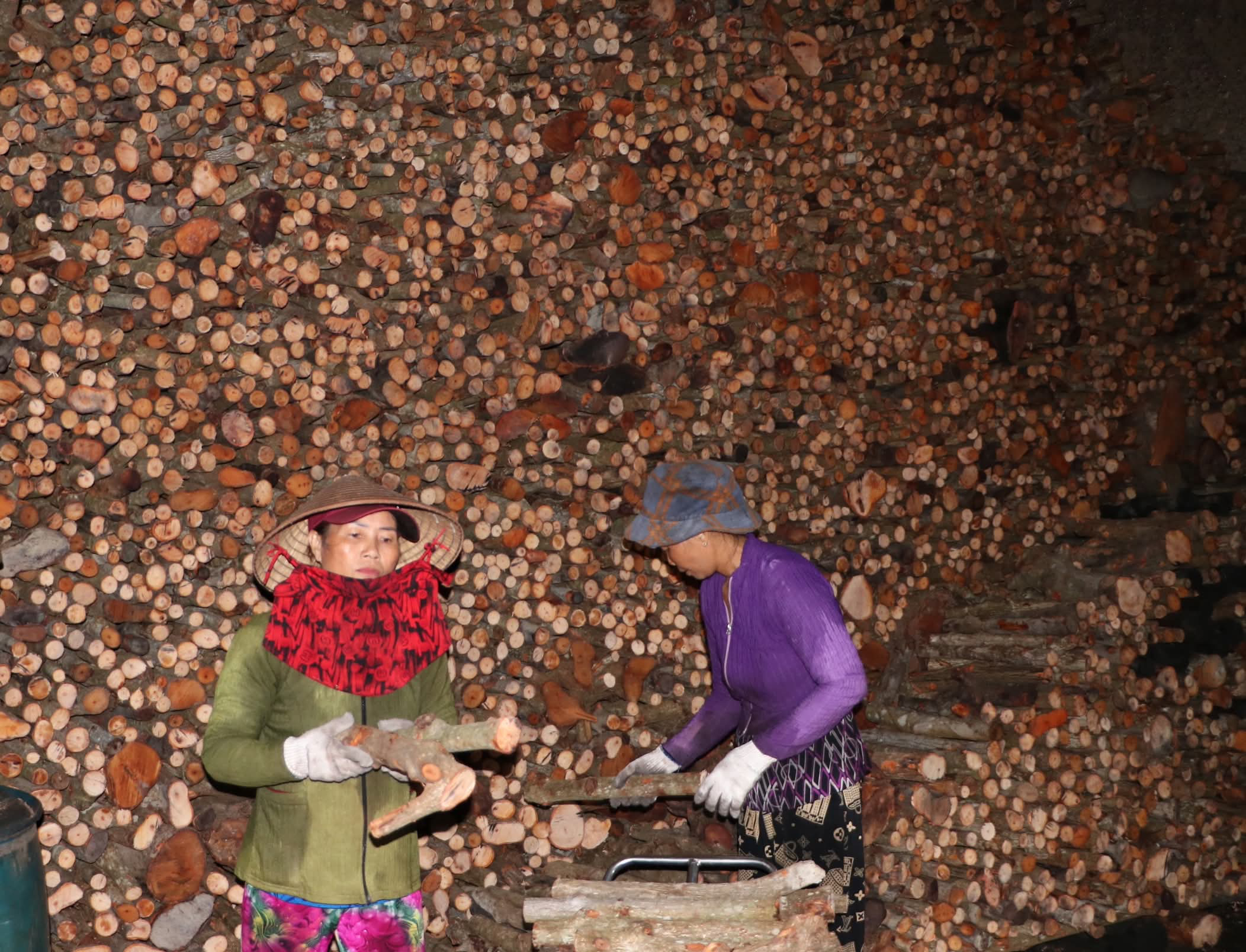 Nghề hầm than Cà Mau trăm năm đỏ lửa - Ảnh 5. Nghề hầm than Cà Mau trăm năm đỏ lửa - Ảnh 5.