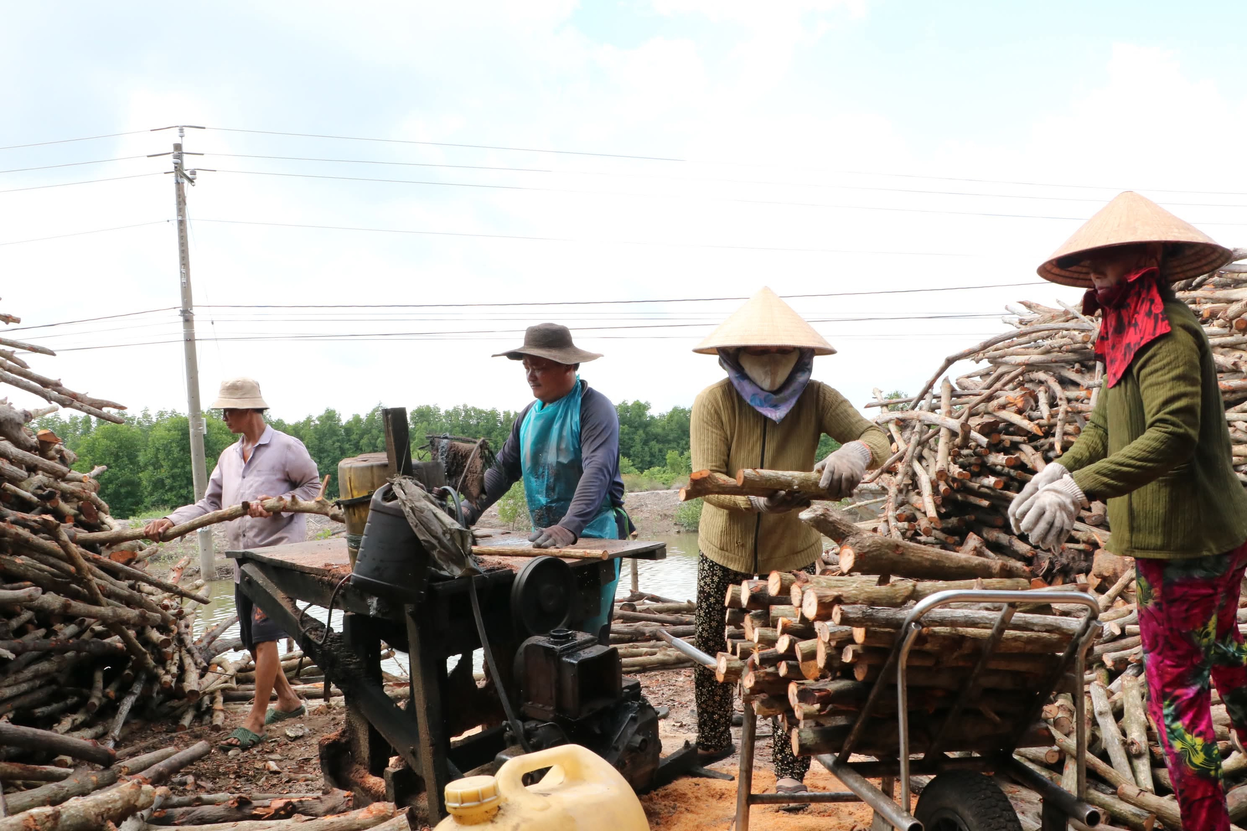Nghề hầm than Cà Mau trăm năm đỏ lửa - Ảnh 4. Nghề hầm than Cà Mau trăm năm đỏ lửa - Ảnh 4.